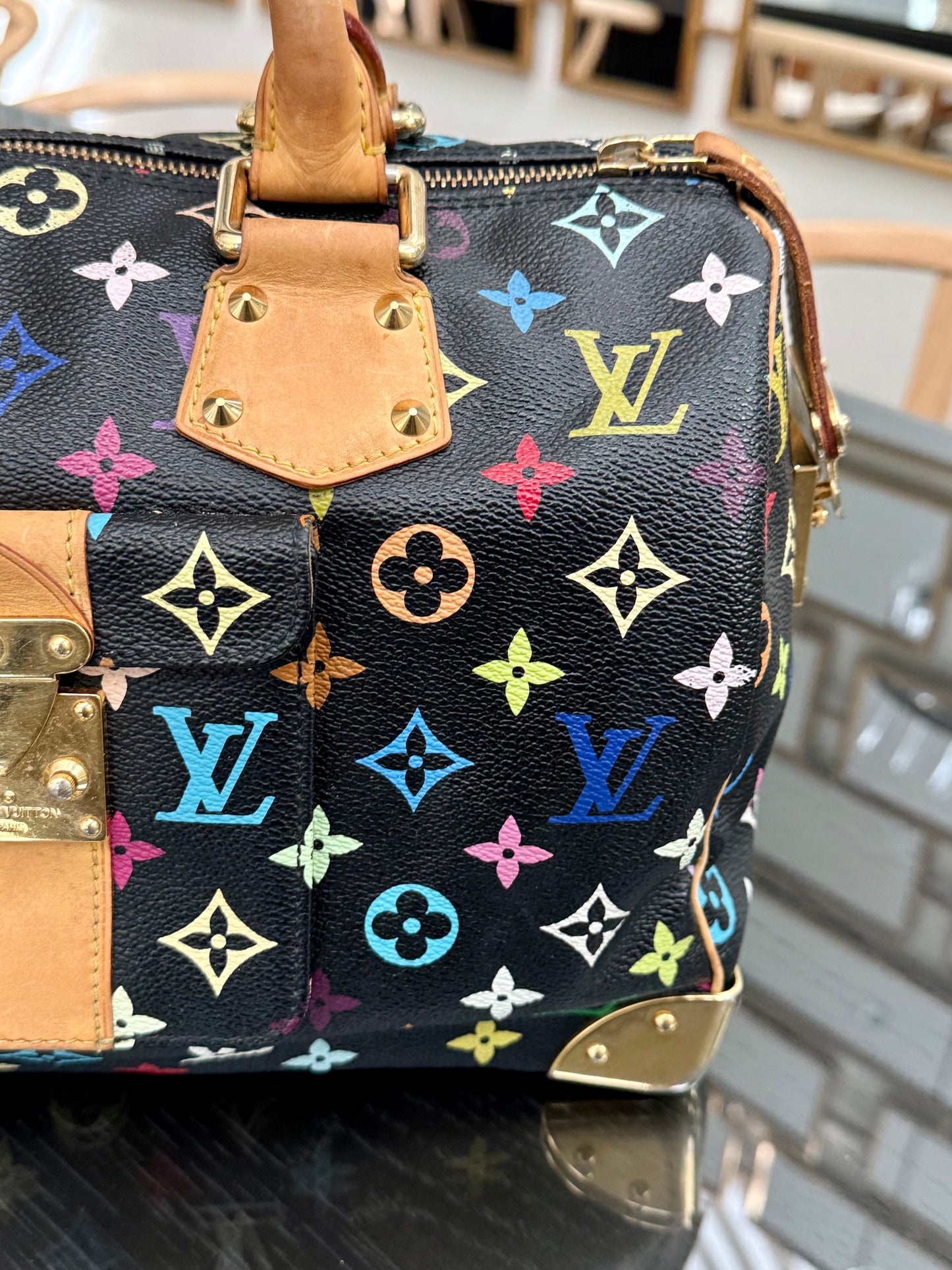 Multicolor Speedy 30 with Dustbag, Insert Organizer and twilly set 📅 Year: 2008