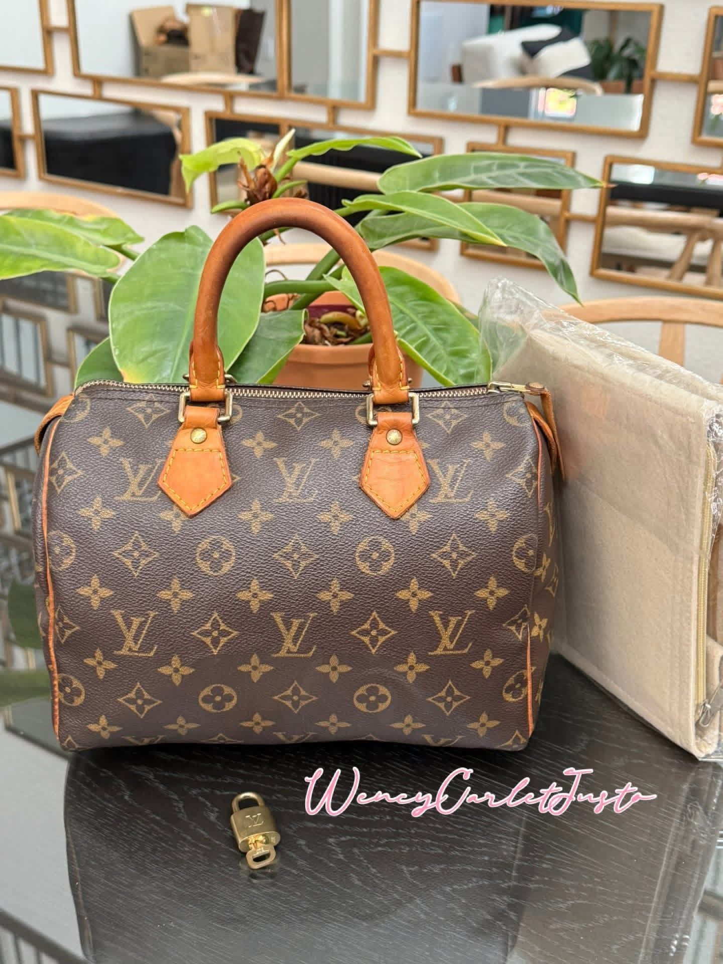 Speedy 25 with Lock 🔐 Key 🔑 and Insert Organizer 🗓️ Year: 2003