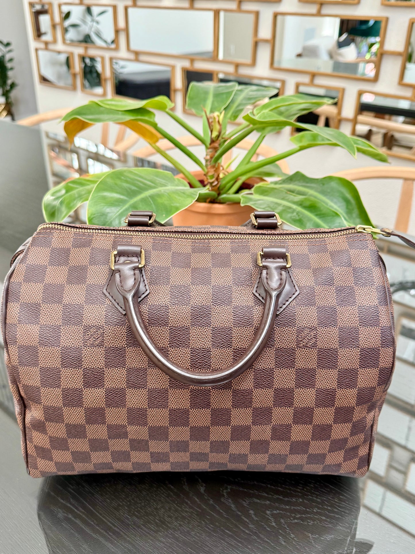 Speedy 30 in DE with 🔐 lock, Key and Dustbag -🗓️ Year: 2017