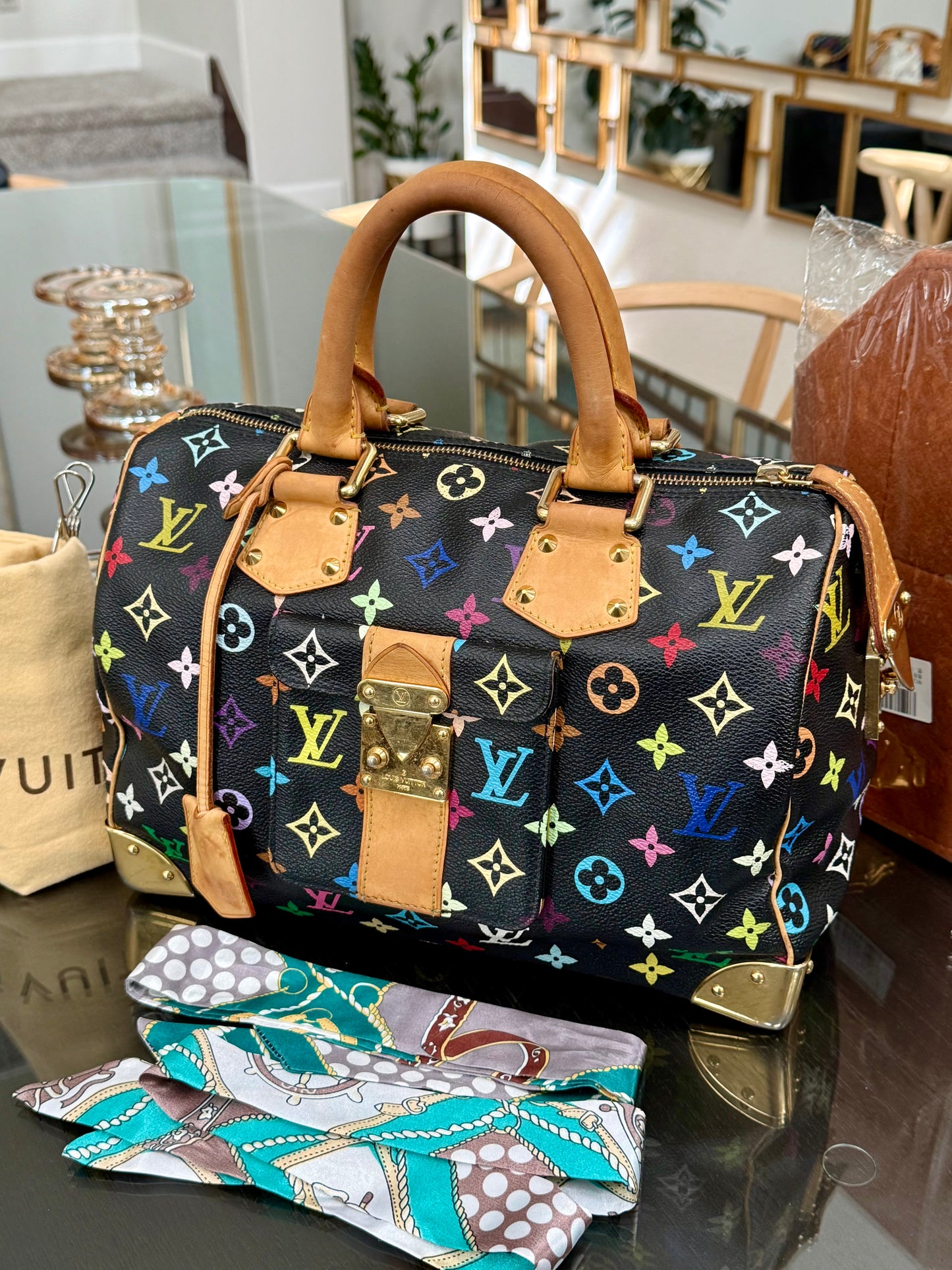 Multicolor Speedy 30 with Dustbag, Insert Organizer and twilly set 📅 Year: 2008