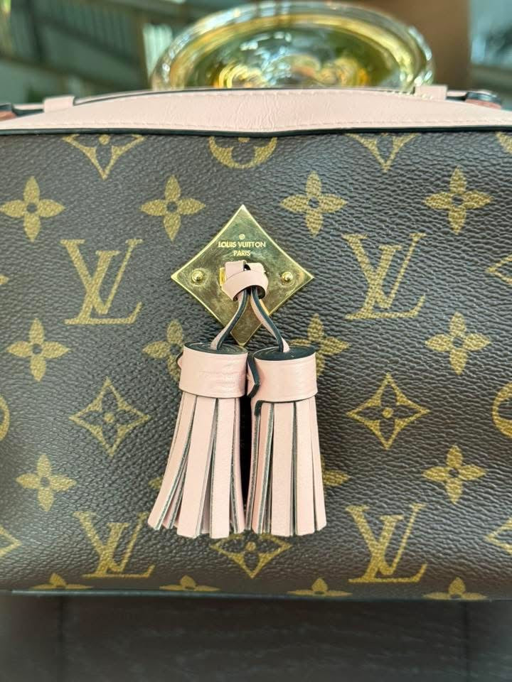 Saintonge Monogram Crossbody with Dustbag 🗓️ Year: 2019