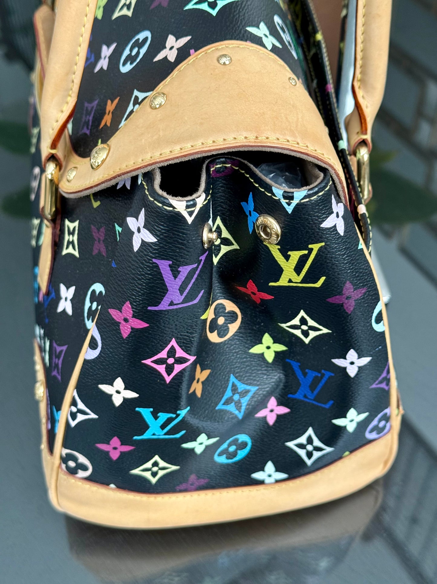 Multicolor Beverly GM with Dustbag 📅 Year: 2008