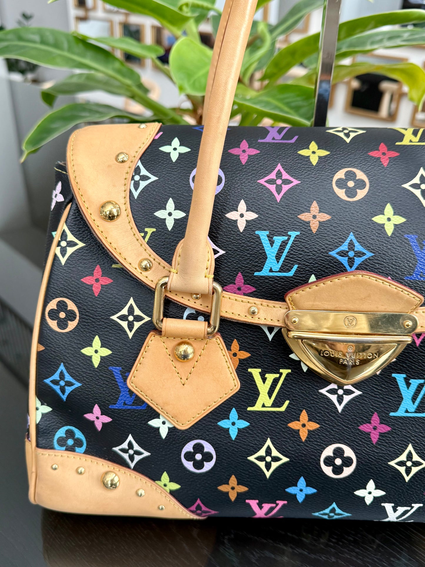 Multicolor Beverly GM with Dustbag 📅 Year: 2008