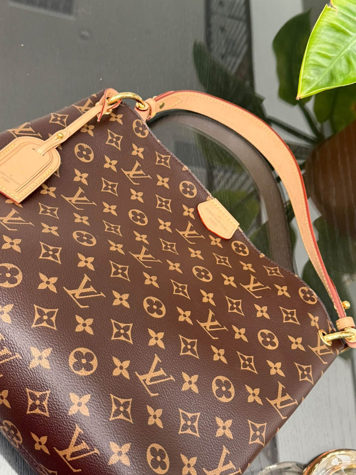 Graceful PM in Peony with Dustbag 📅 Microchipped