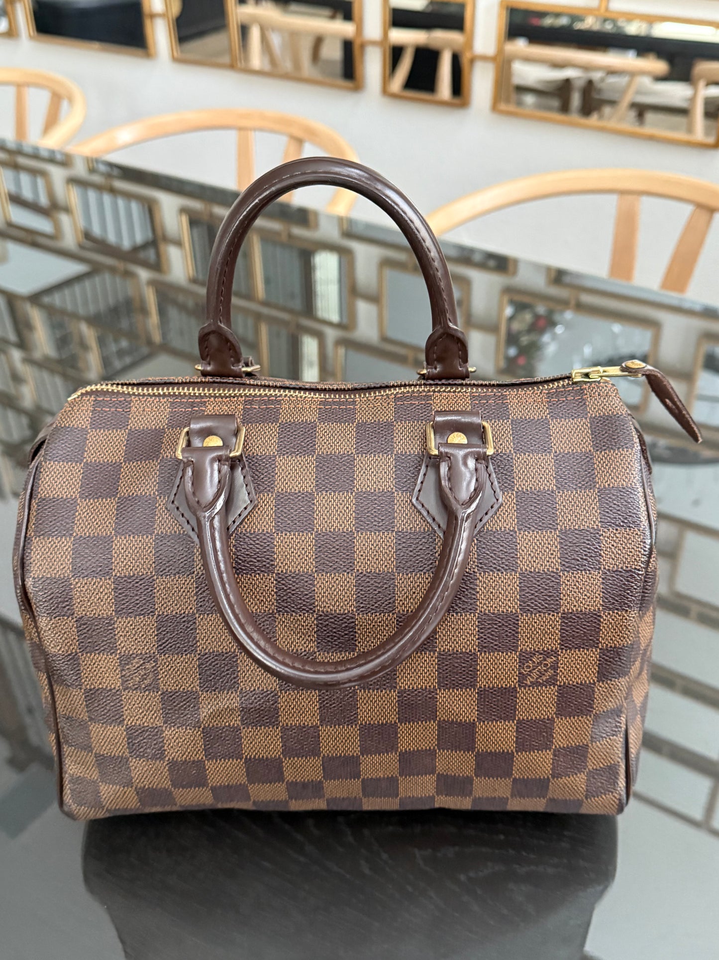 Speedy 25 De with 🔐 Lock, Key, Dustbag and Insert Organizer - Year: 2008