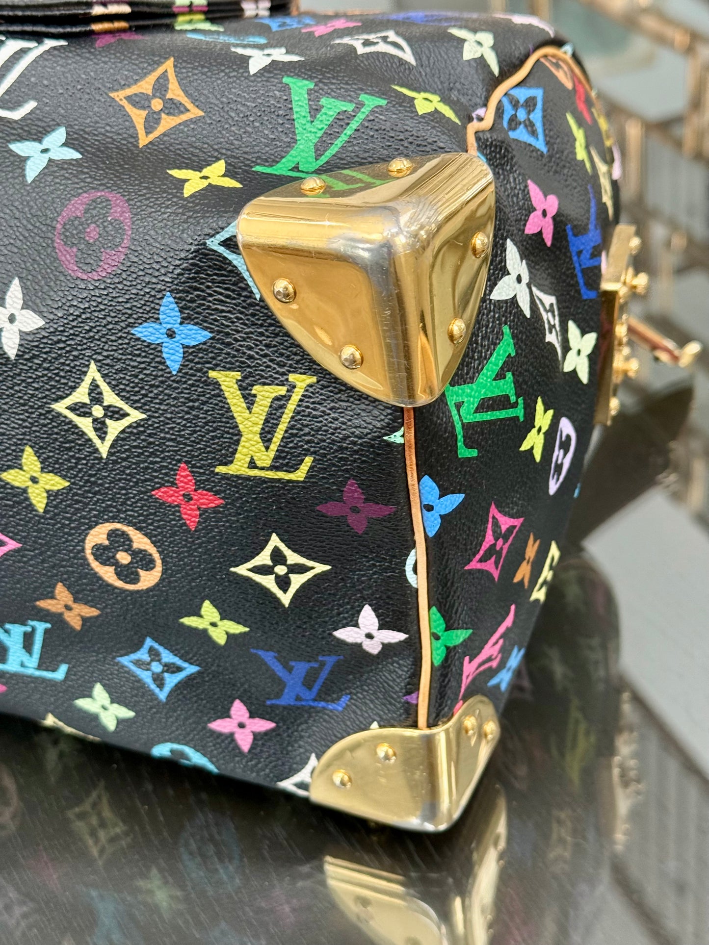Multicolor Speedy 30 with Dustbag, Insert Organizer and twilly set 📅 Year: 2008
