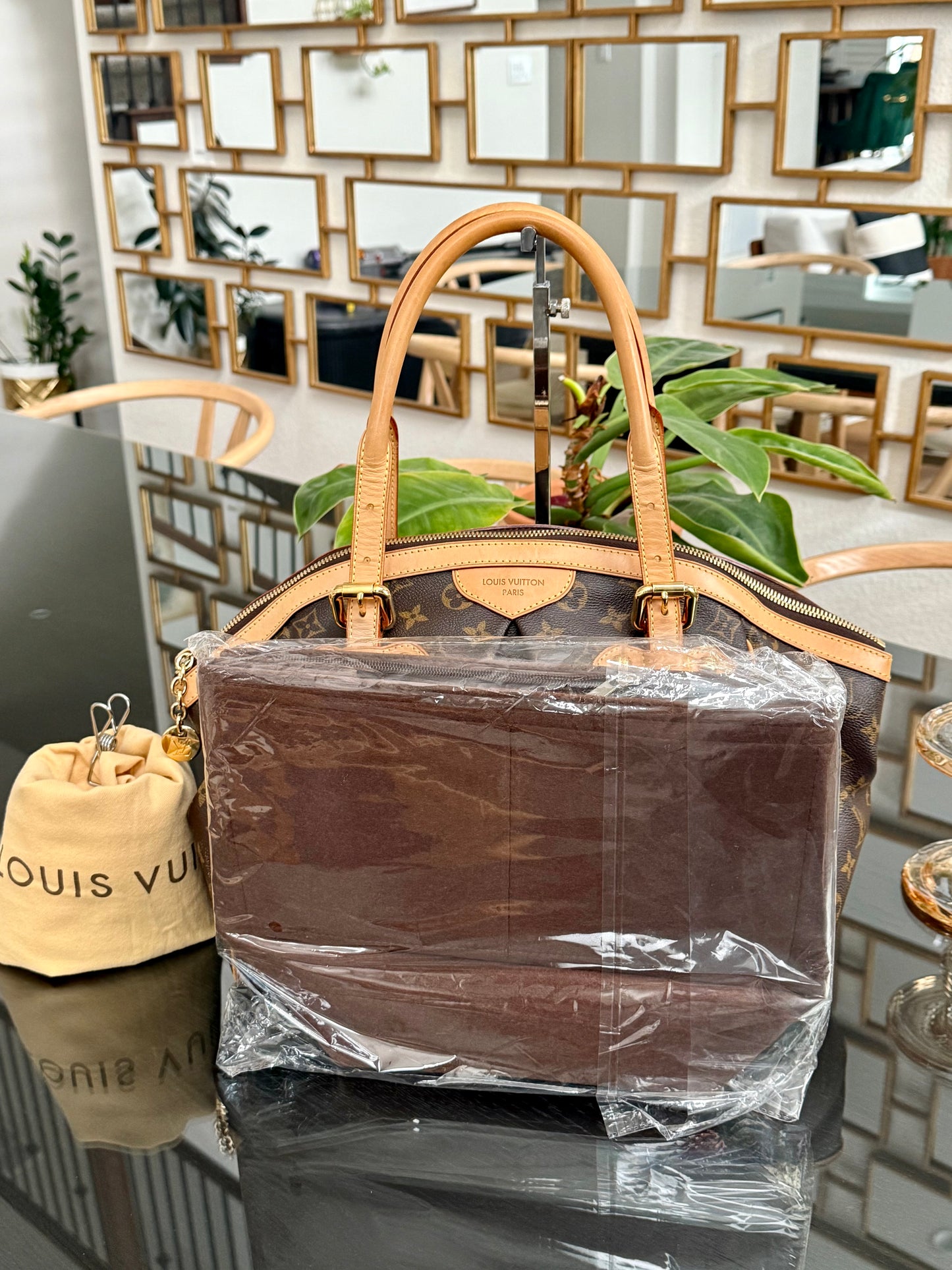 Tivoli GM with Dustbag and Insert Organizer 🗓️ Year: 2009
