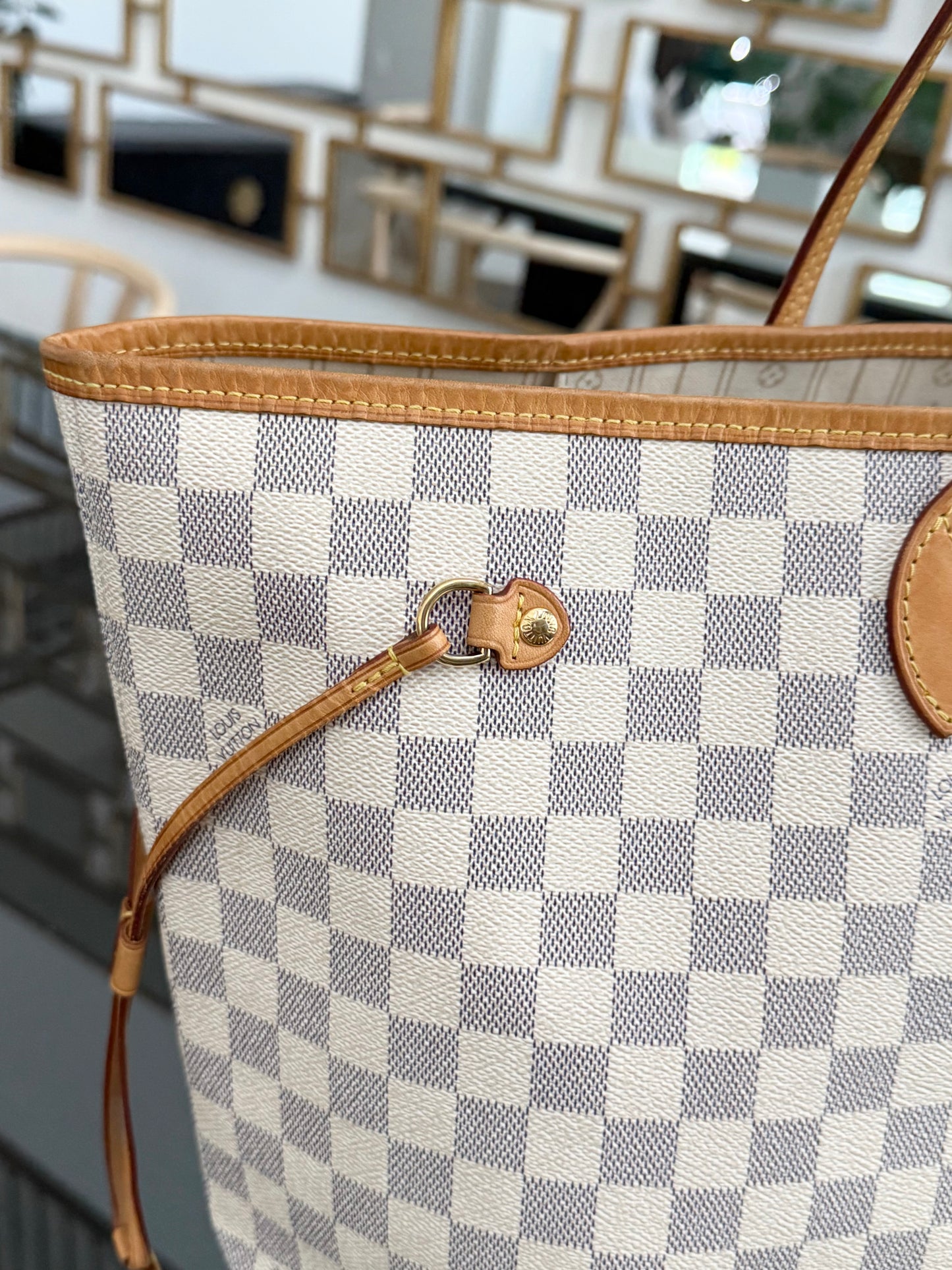 Neverfull GM in Azur with Dustbag Insert Organizer 🗓️ Year: 2011