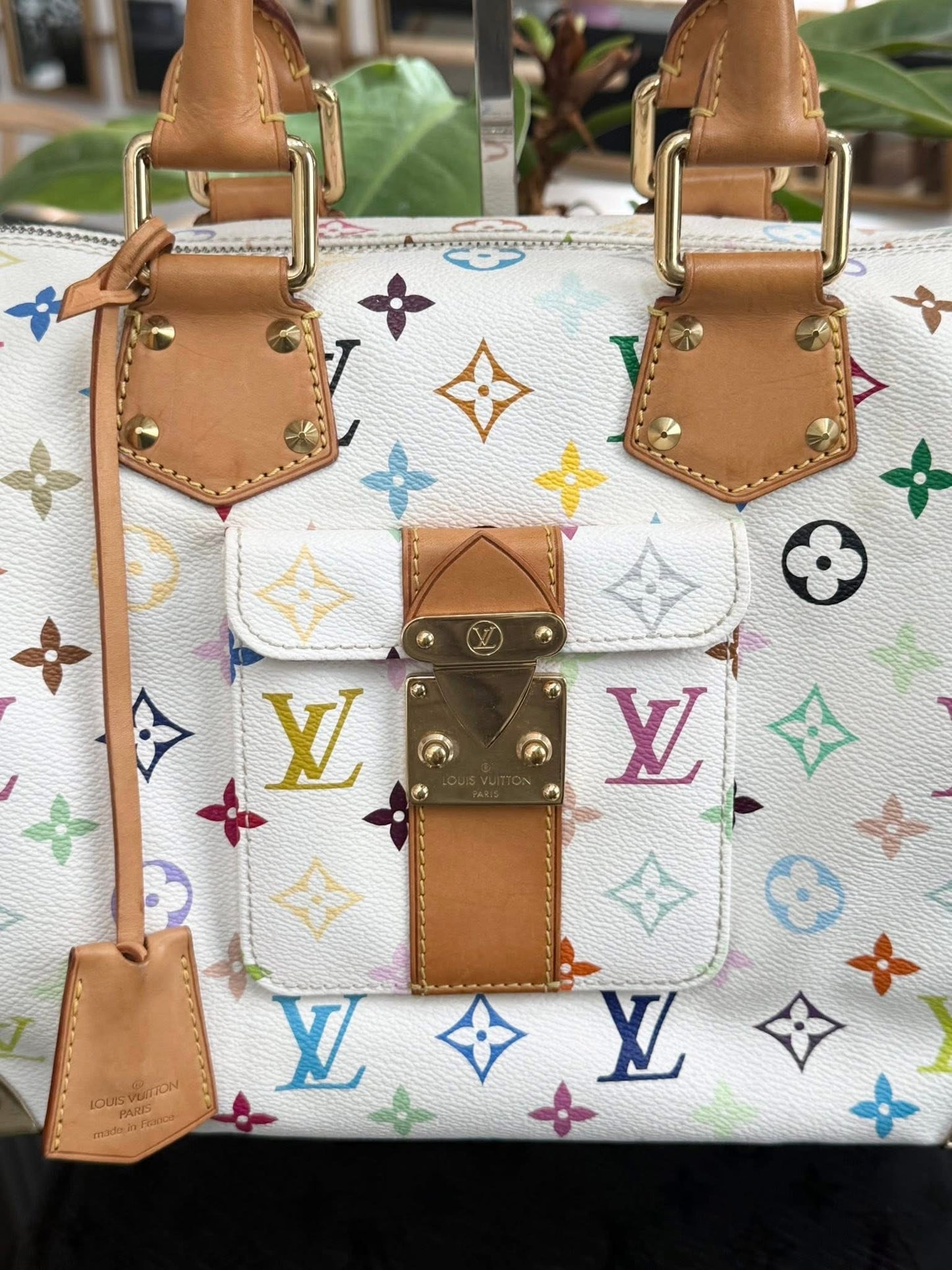 Multicolor Speedy 30 with Dustbag, twilly set and Insert Organizer 📅 Year: 2007