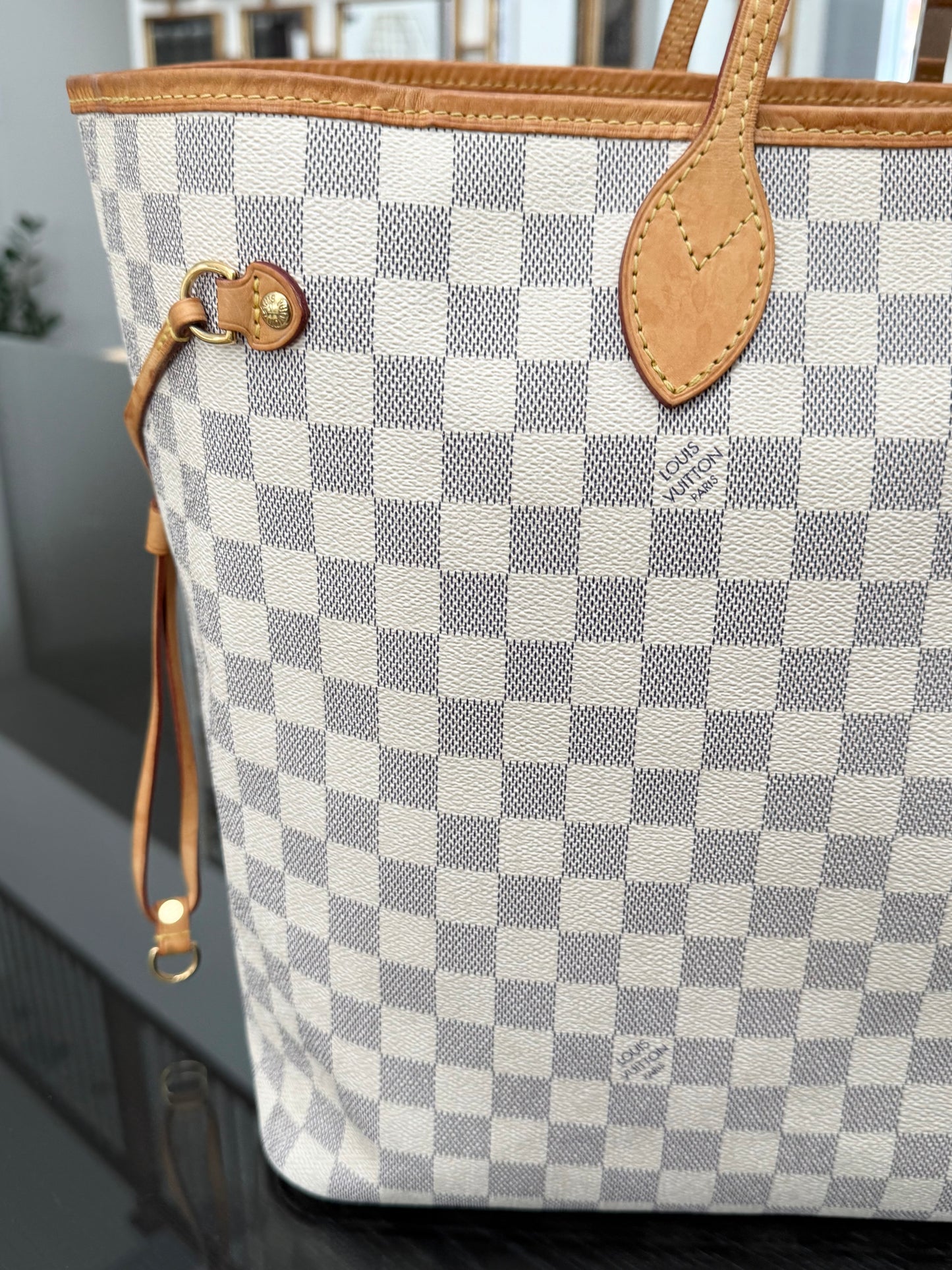 Neverfull GM in Azur with Dustbag Insert Organizer 🗓️ Year: 2011