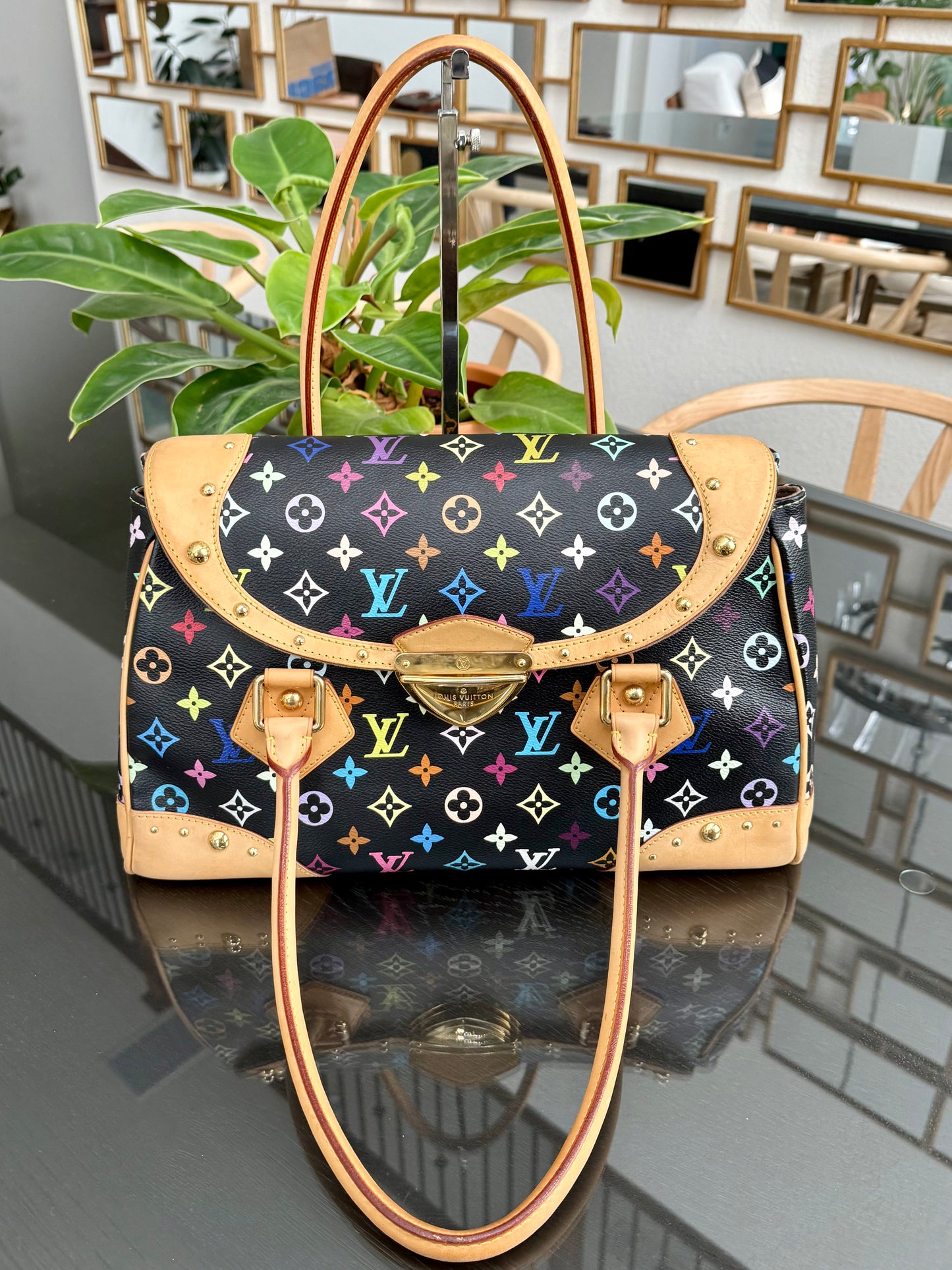 Multicolor Beverly GM with Dustbag 📅 Year: 2008