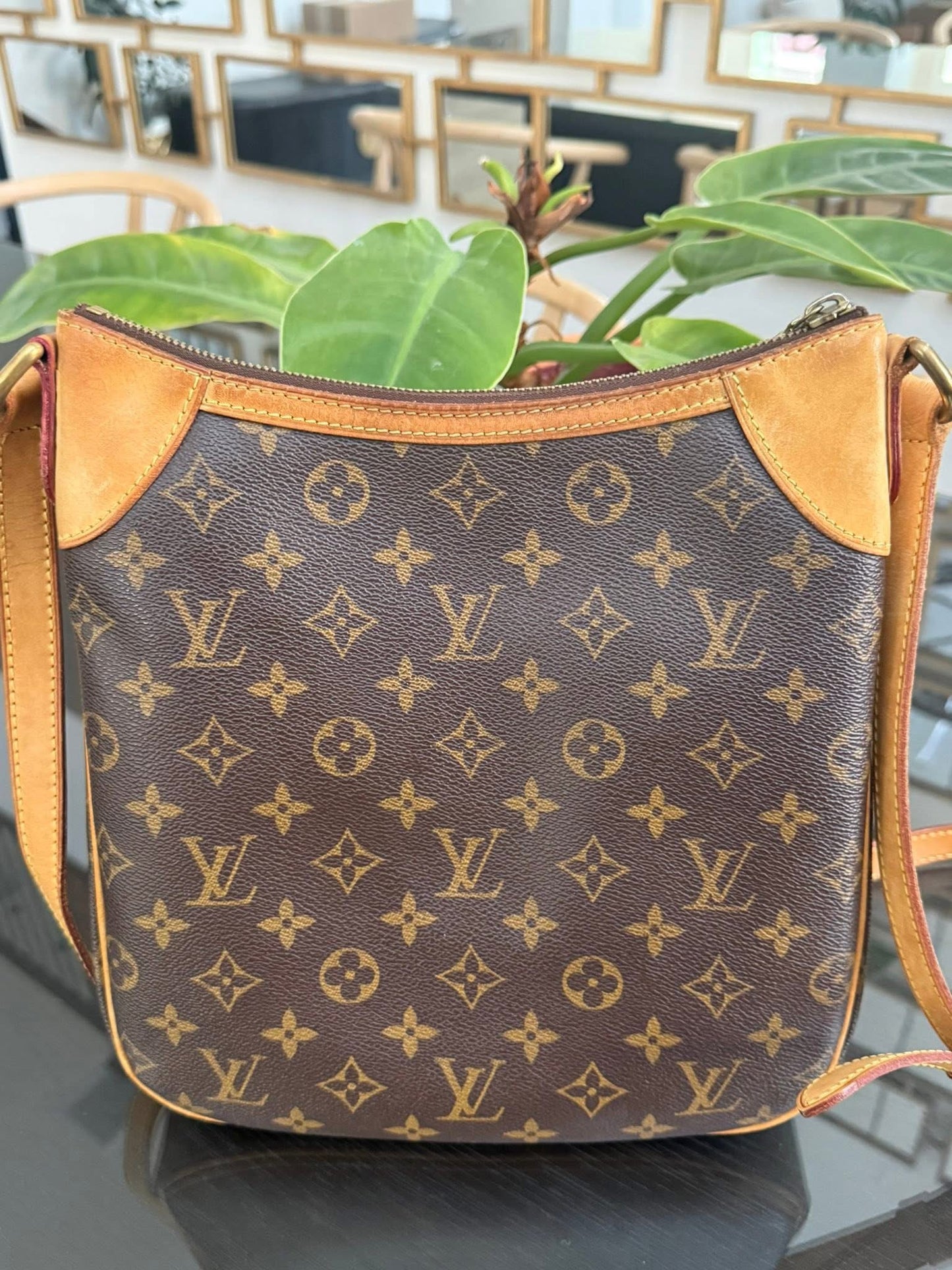 Odeon PM Crossbody -🗓️ Year: 2011