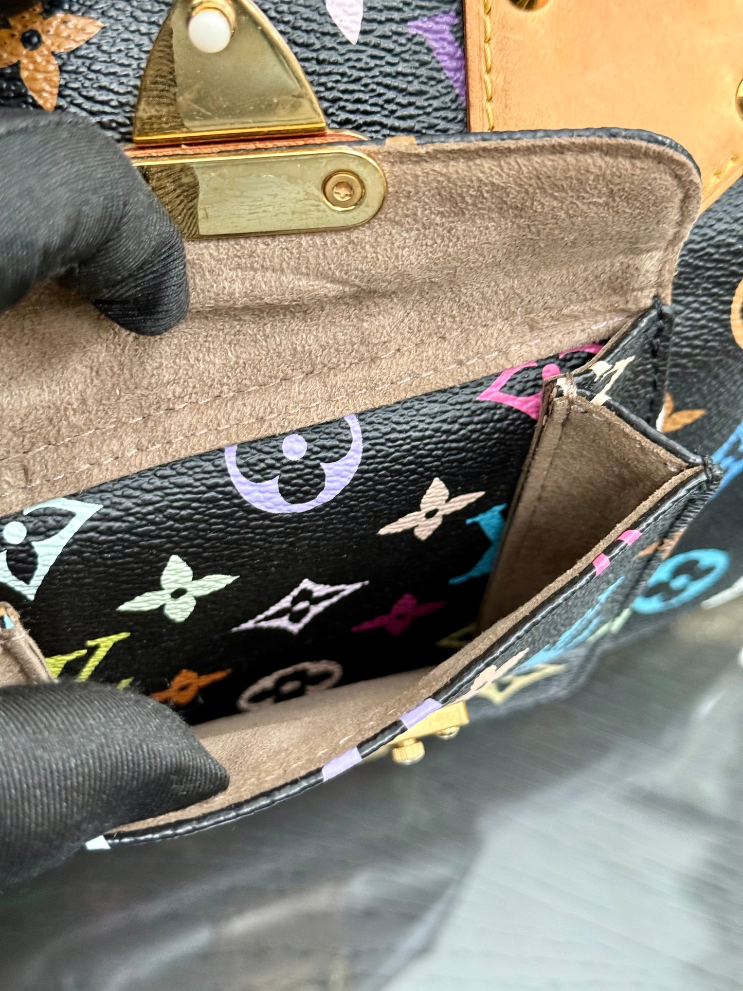 Multicolor Speedy 30 with Dustbag, Insert Organizer and twilly set 📅 Year: 2008