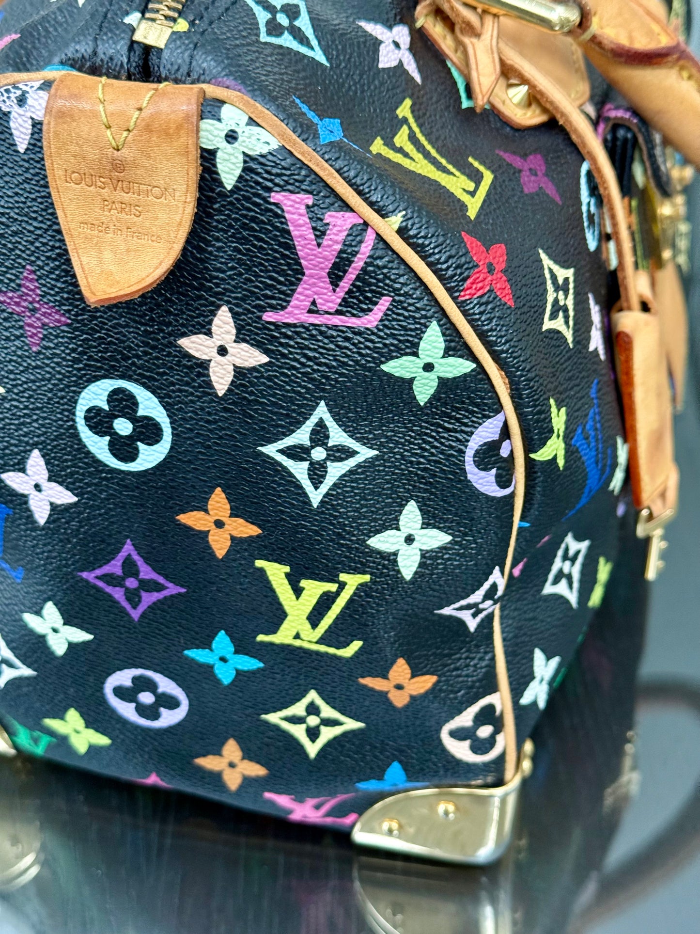 Multicolor Speedy 30 with Dustbag, Insert Organizer and twilly set 📅 Year: 2008