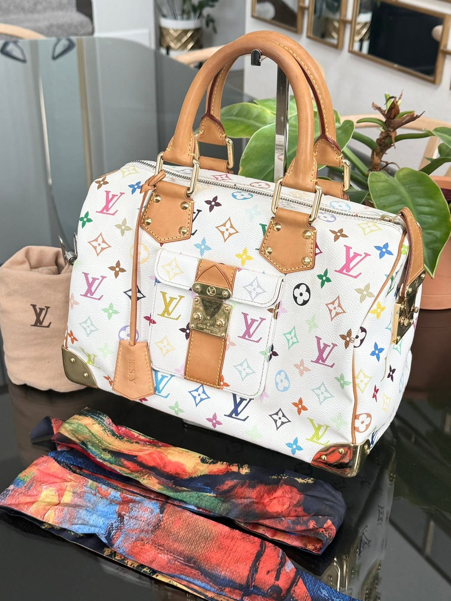 Multicolor Speedy 30 with Dustbag, twilly set and Insert Organizer 📅 Year: 2007