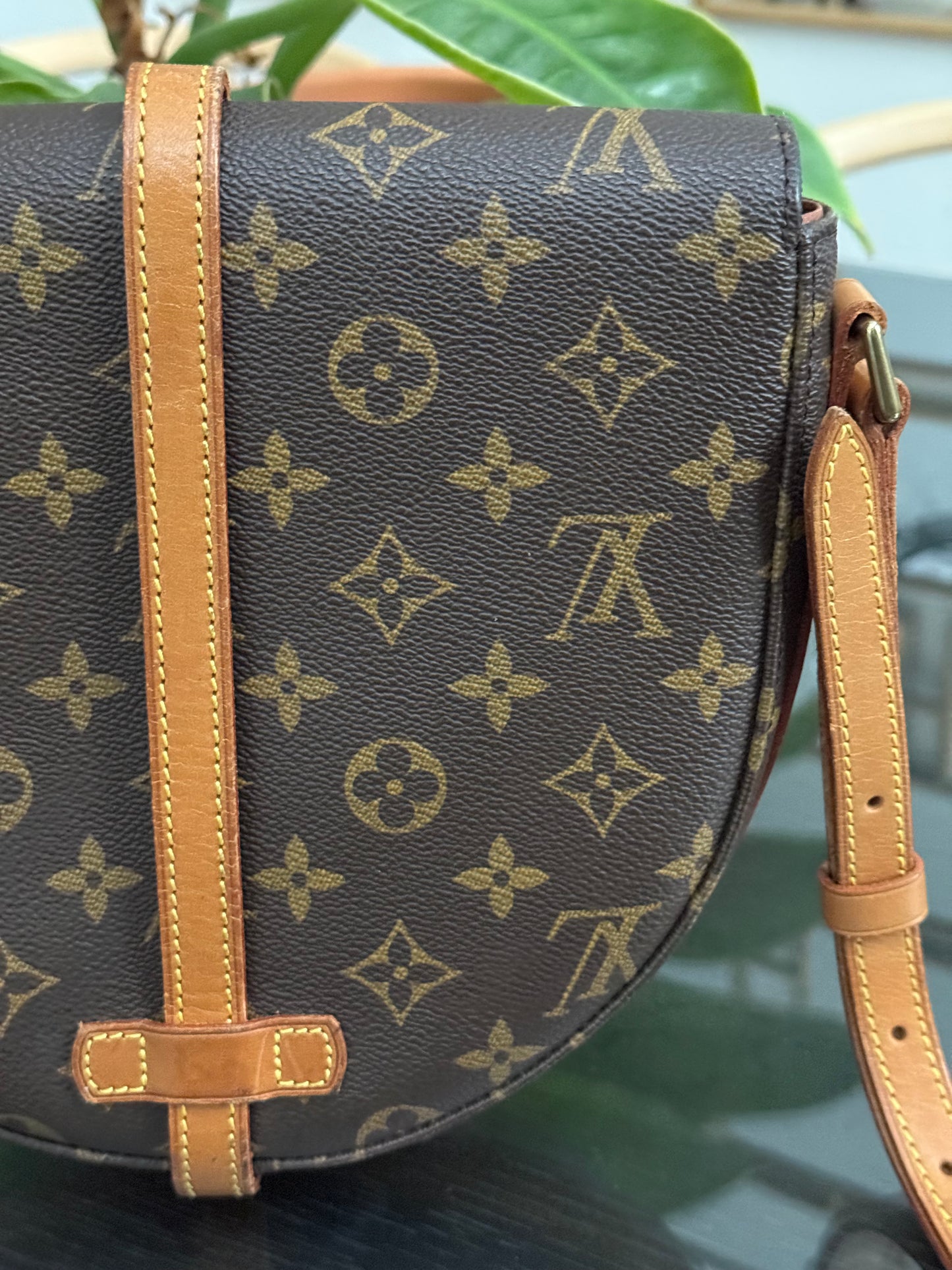 Chantilly MM Crossbody Bag 🌺Year: 1995