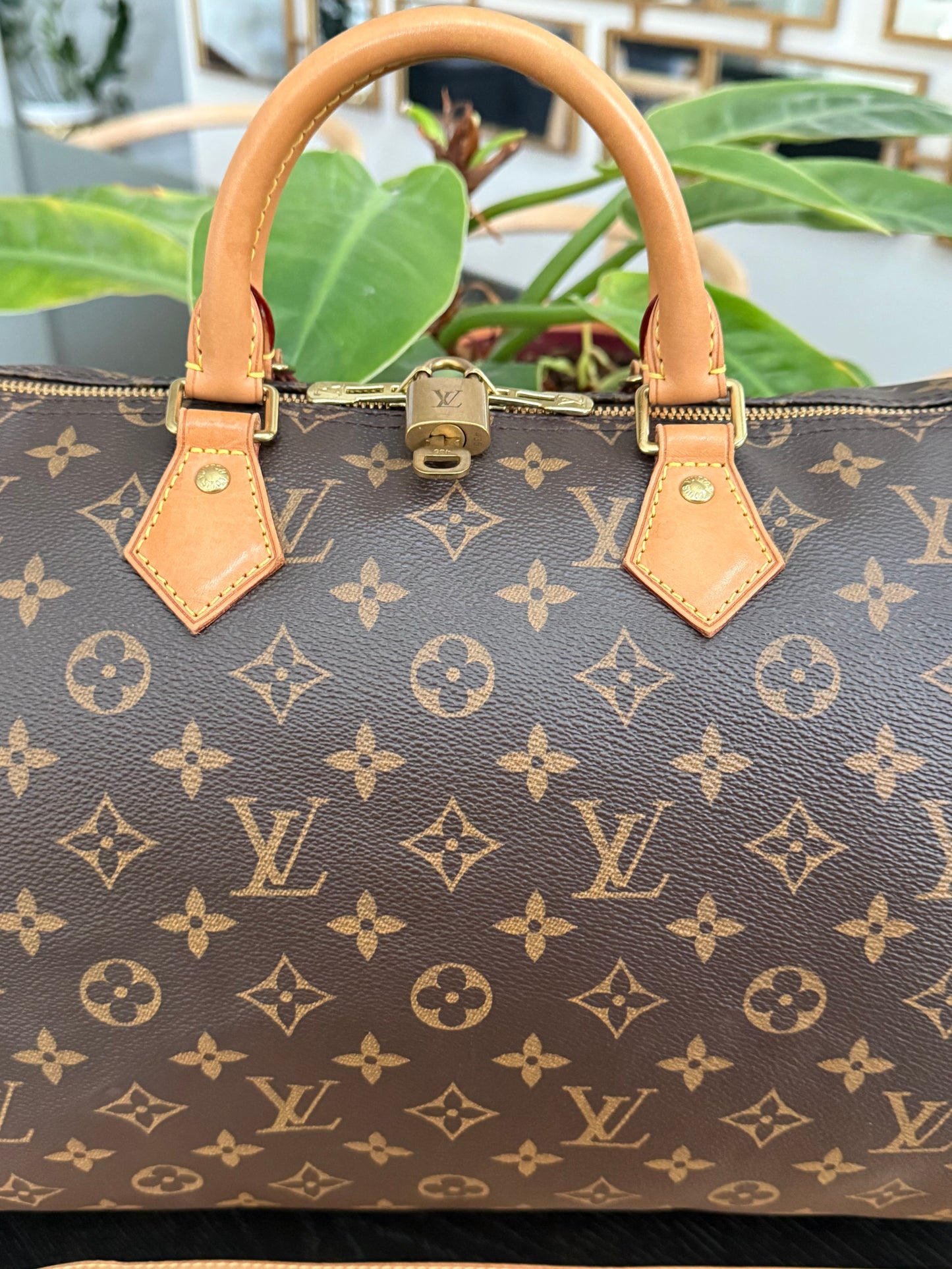 Speedy 35 Bandoulier with lock 🔐 key, Dustbag and Insert Organizer -🗓️ Year: 2015