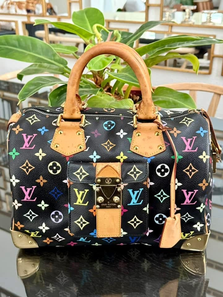 Multicolor Speedy 30 with Dustbag and generic twilly set 📅 Year: 2008