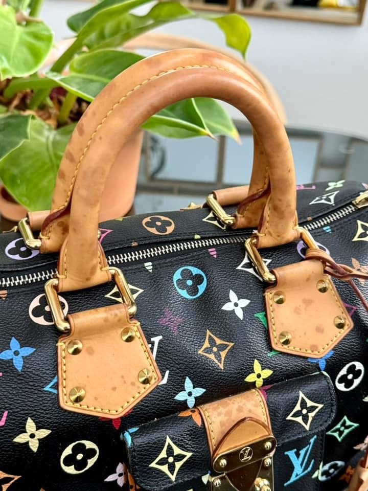 Multicolor Speedy 30 with Dustbag and generic twilly set 📅 Year: 2008