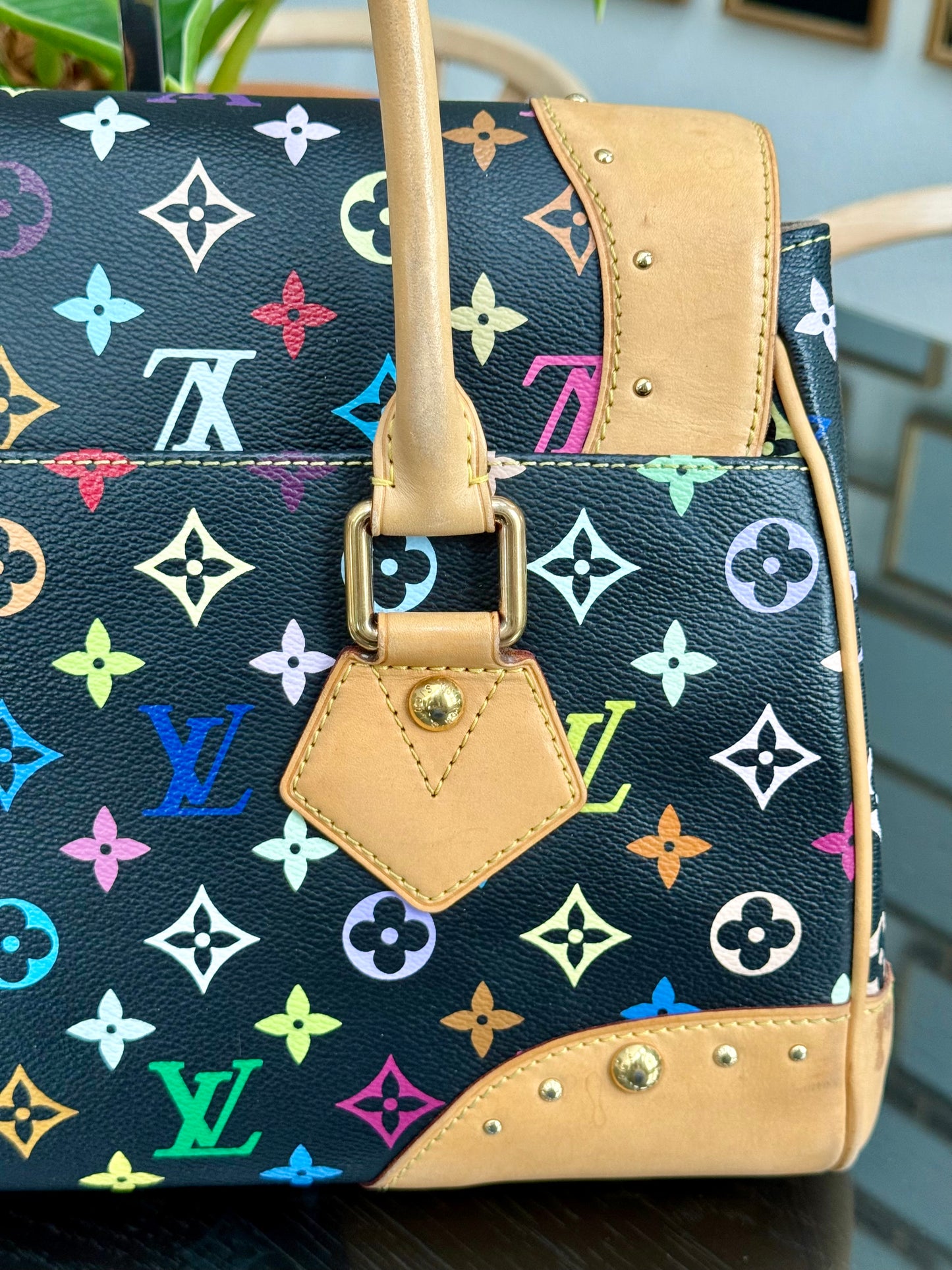 Multicolor Beverly GM with Dustbag 📅 Year: 2008