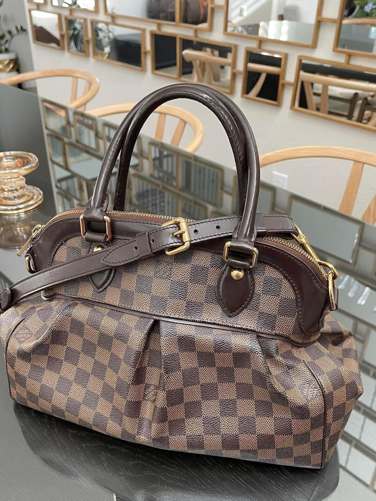 Trevi PM with Dustbag & Receipt - 📅 Year: 2008