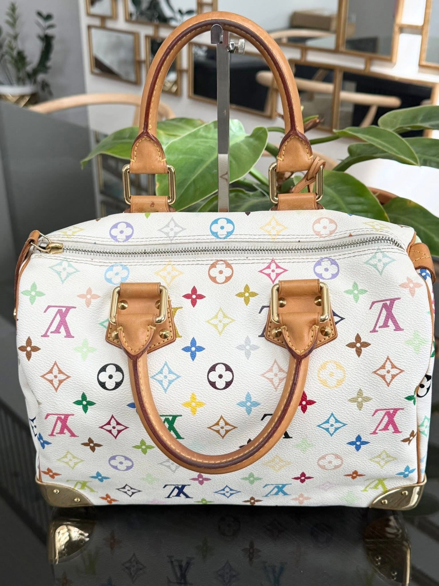 Multicolor Speedy 30 with Dustbag, twilly set and Insert Organizer 📅 Year: 2007