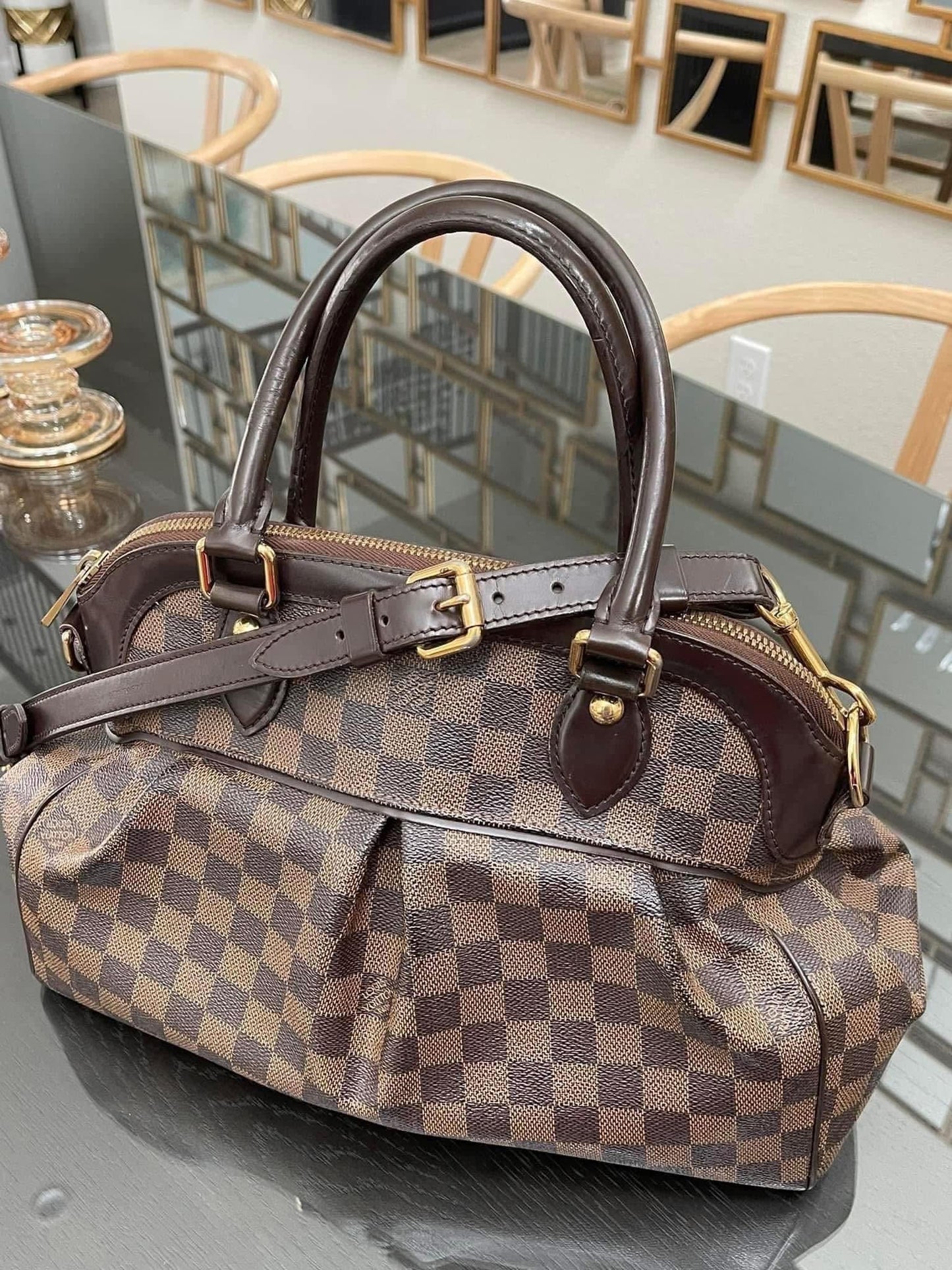 Trevi PM with Dustbag & Receipt - 📅 Year: 2008