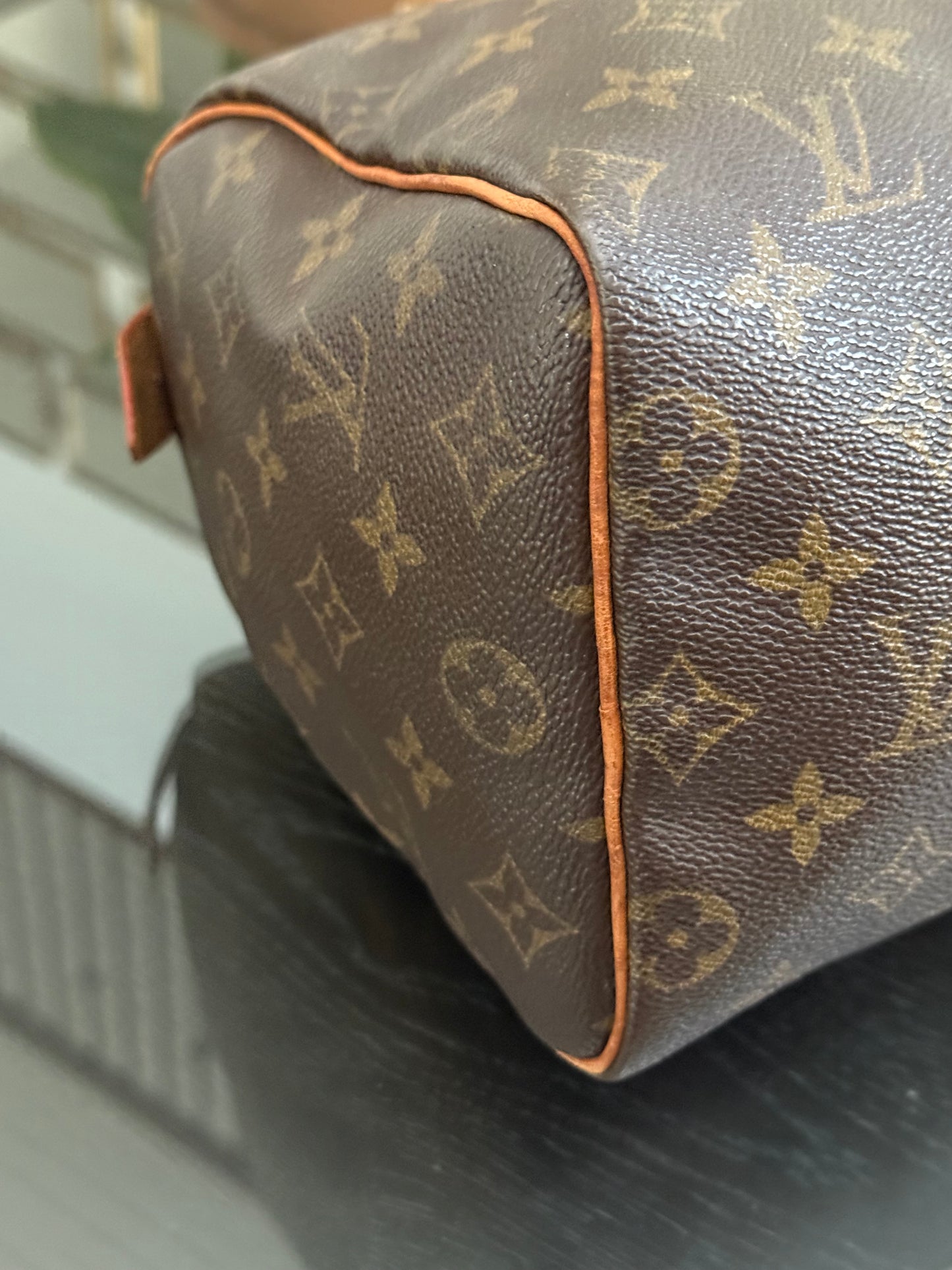 Speedy 25 in Monogram with Dustbag -🗓️ Year: 2000