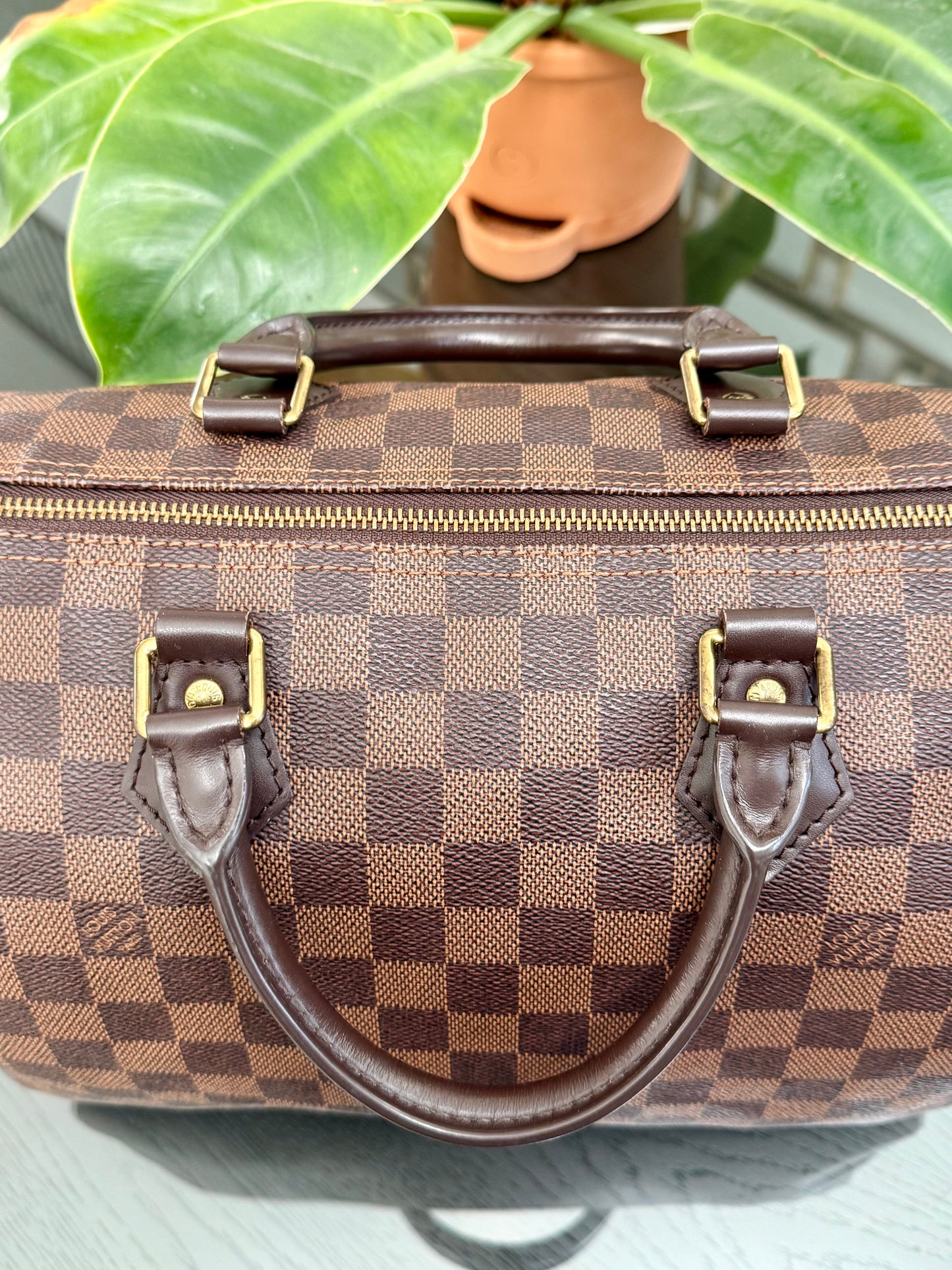 Speedy 30 in DE with 🔐 lock, Key and Dustbag -🗓️ Year: 2017