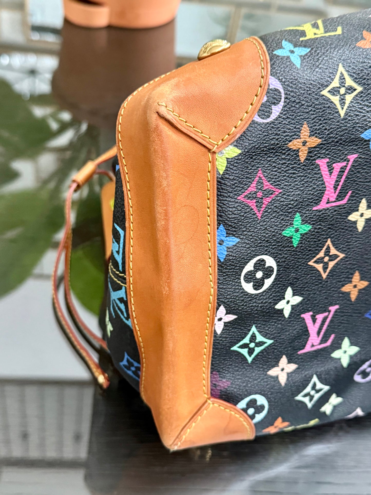 Multicolor in Black Ursula with Dustbag