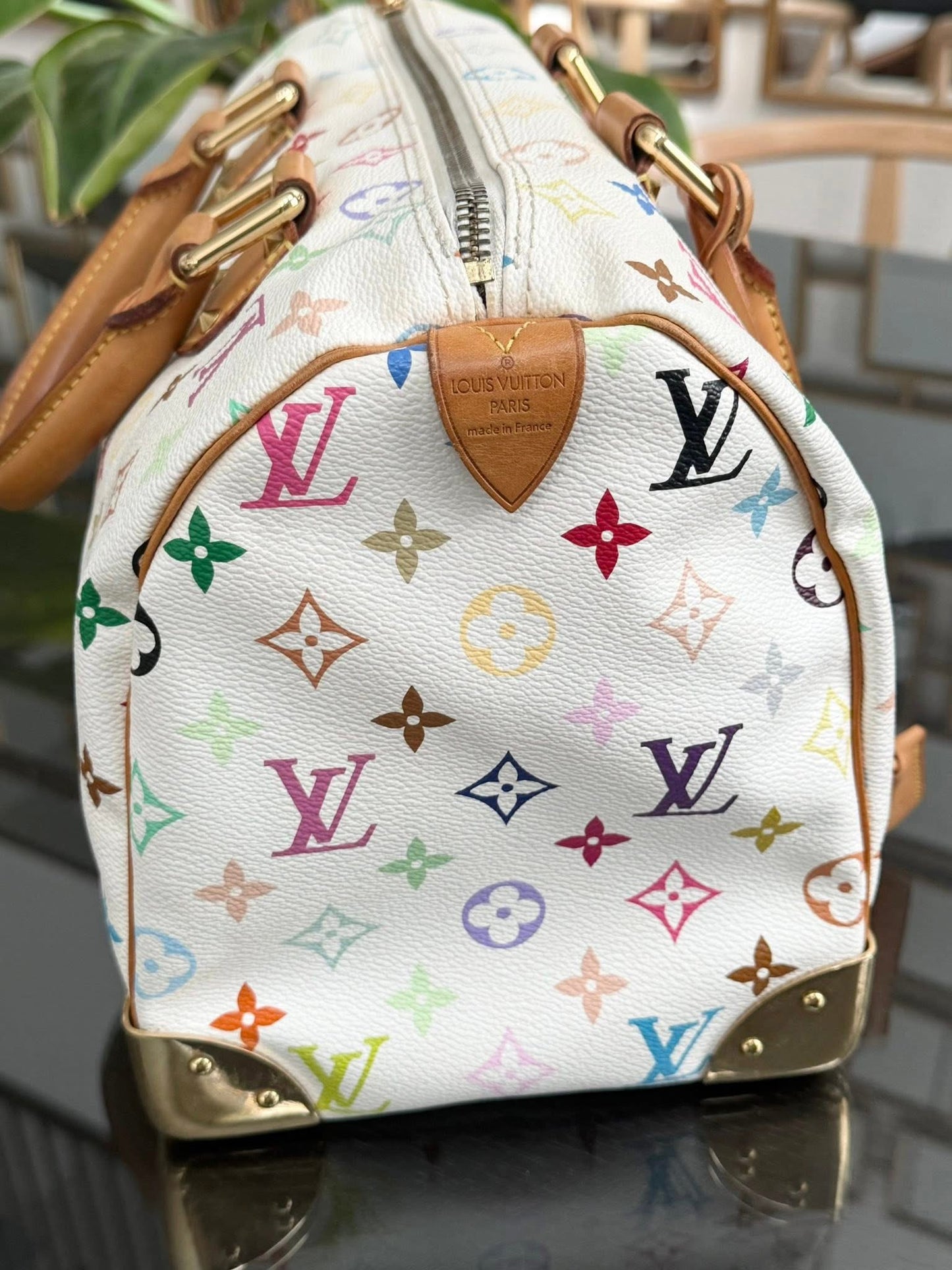 Multicolor Speedy 30 with Dustbag, twilly set and Insert Organizer 📅 Year: 2007