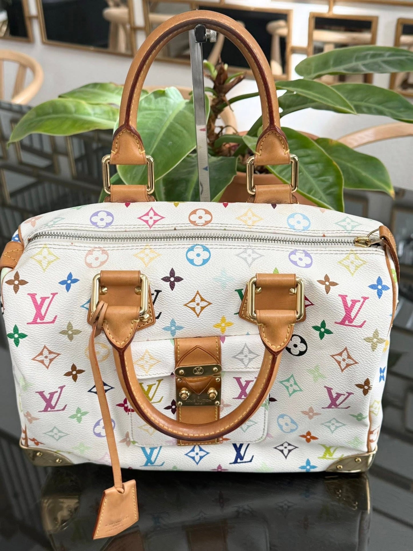 Multicolor Speedy 30 with Dustbag, twilly set and Insert Organizer 📅 Year: 2007