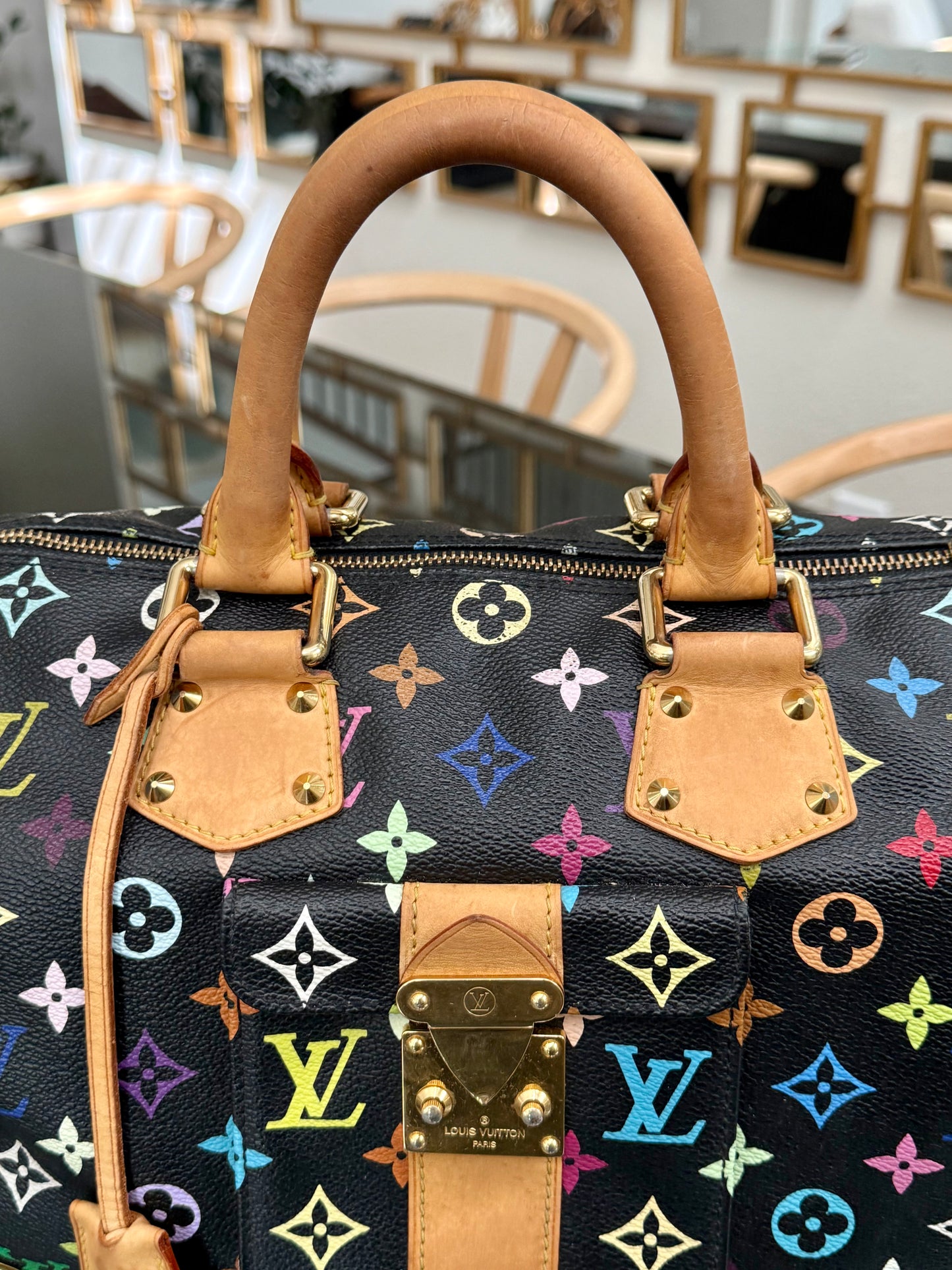 Multicolor Speedy 30 with Dustbag, Insert Organizer and twilly set 📅 Year: 2008