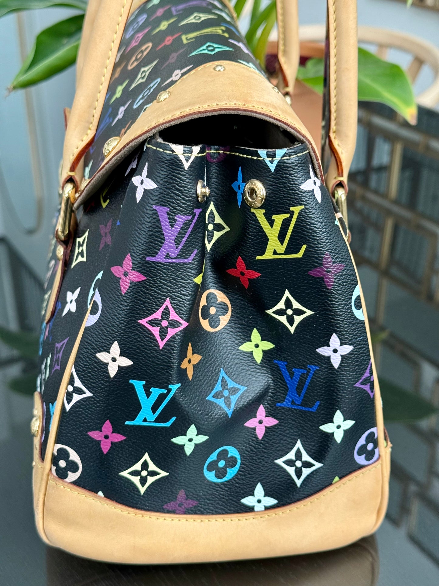 Multicolor Beverly GM with Dustbag 📅 Year: 2008