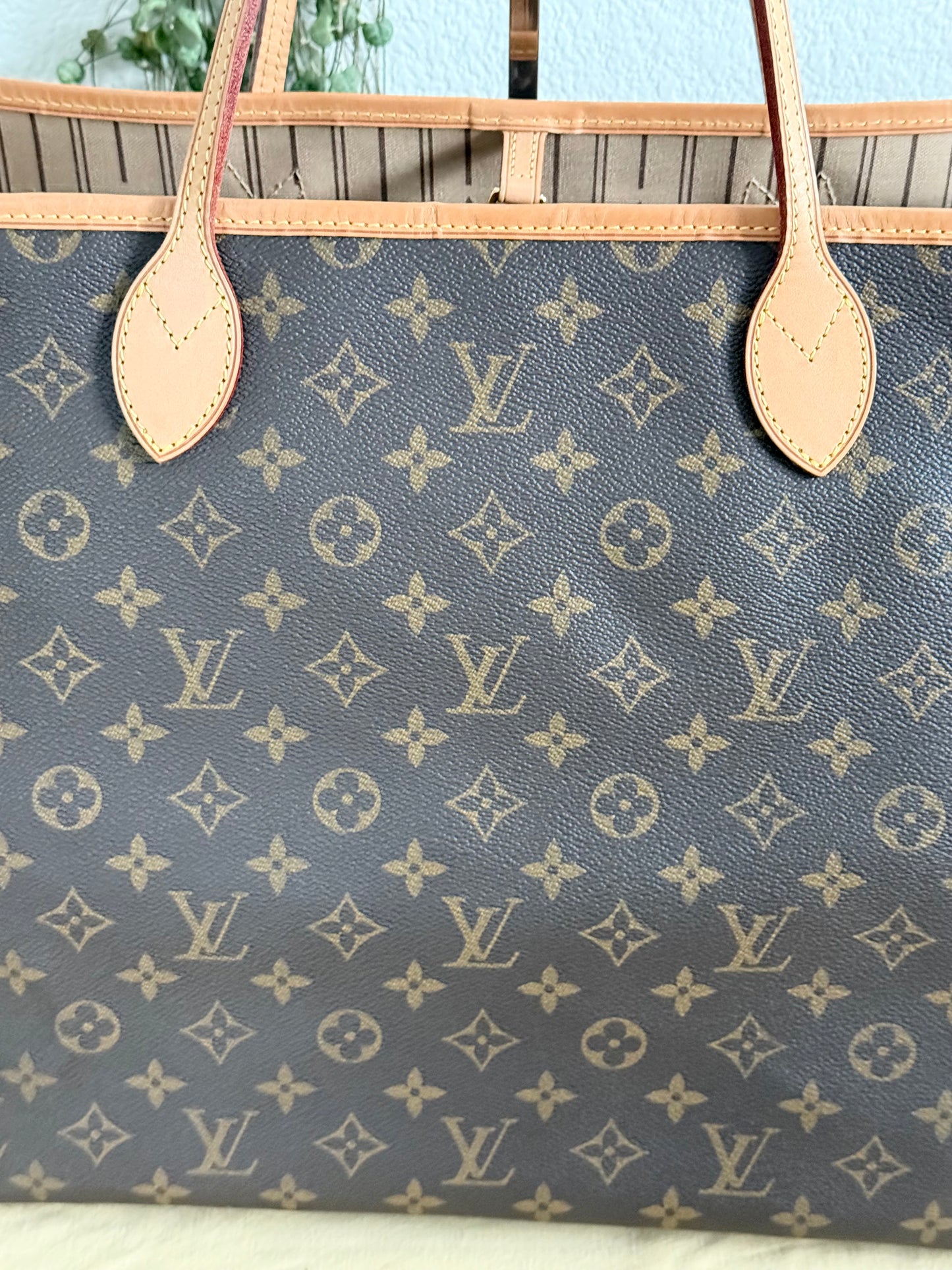 Neverfull GM with Dustbag and Insert Organizer -🗓️ Year: 2010