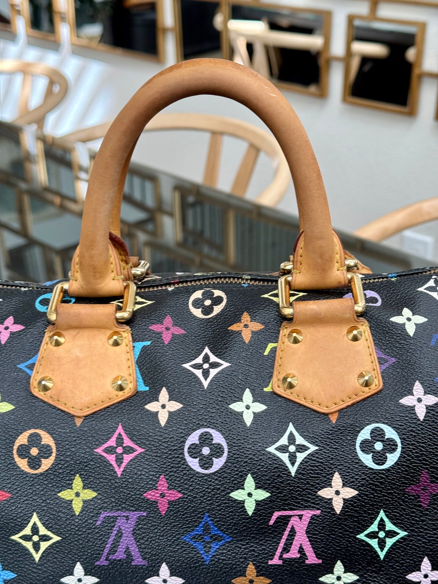 Multicolor Speedy 30 with Dustbag, Insert Organizer and twilly set 📅 Year: 2008
