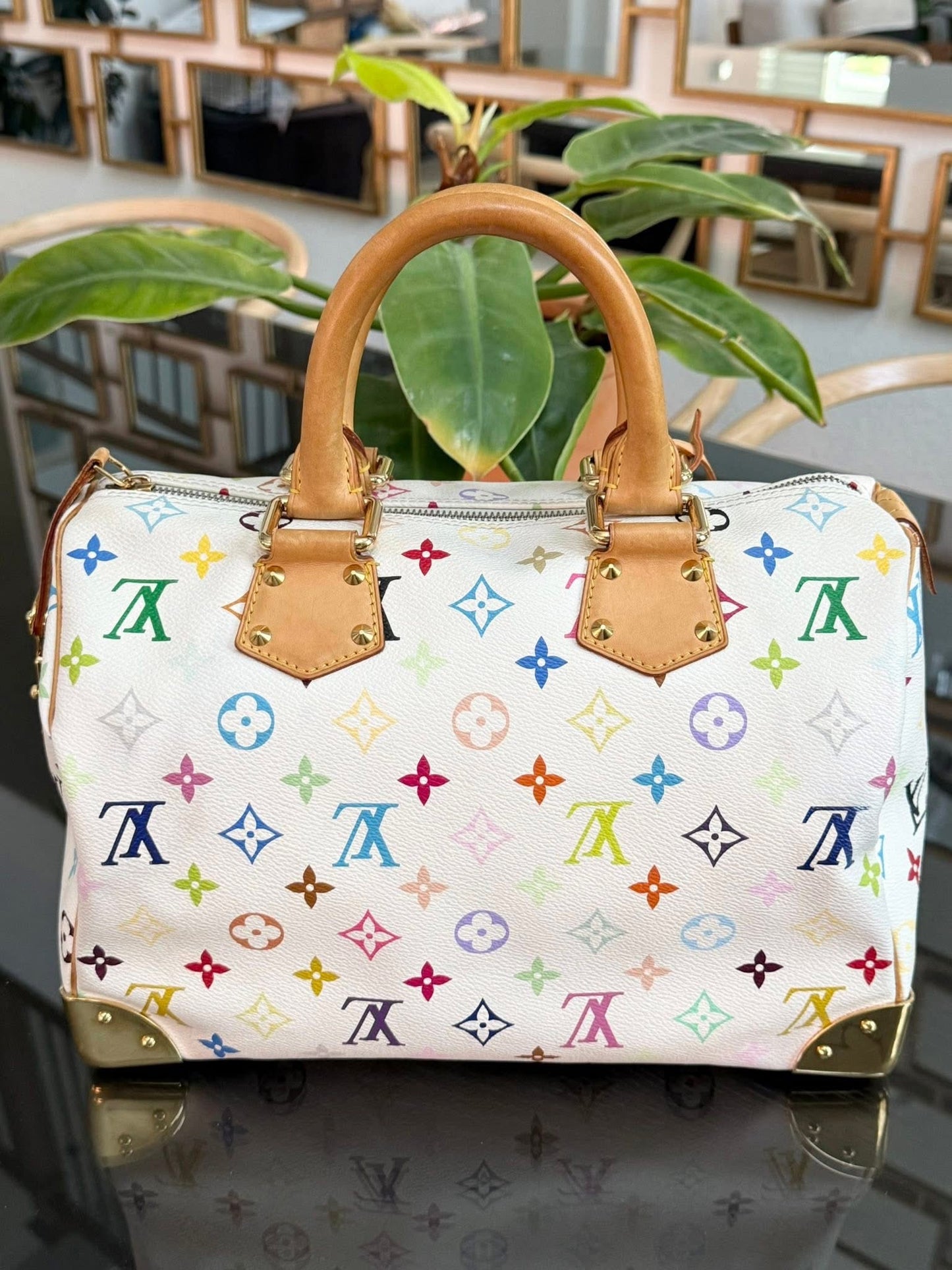 Multicolor Speedy 30 with Dustbag, Insert Organizer and generic twilly set 📅 Year: 2005