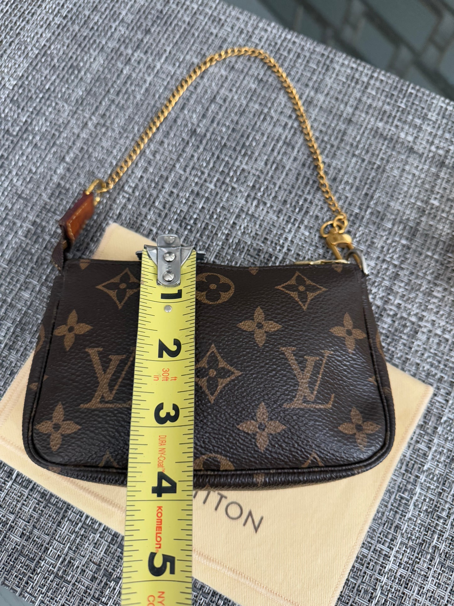 Mini Pochette Accessories with Dustbag - 📅 Year: 2017