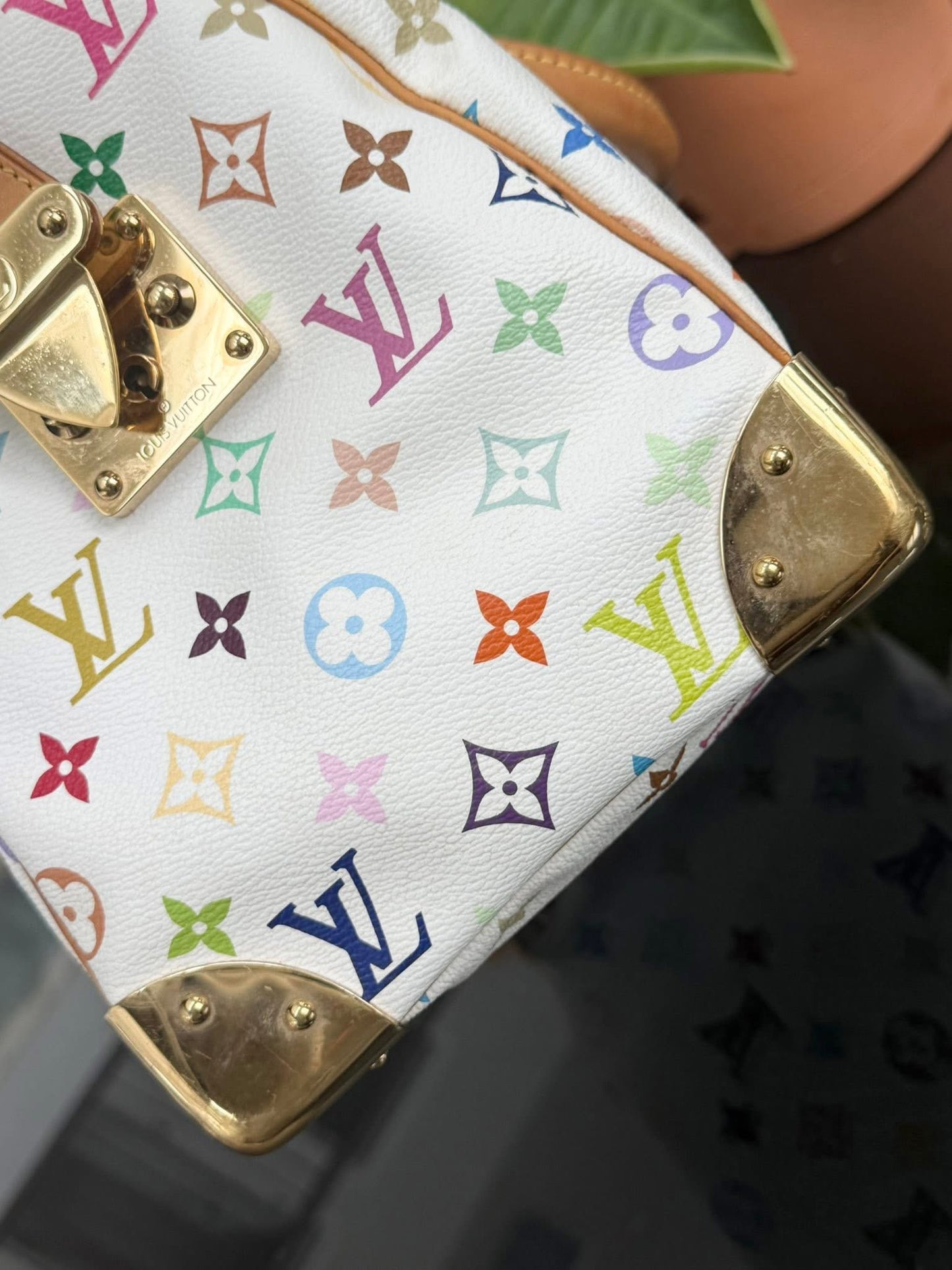 Multicolor Speedy 30 with Dustbag, twilly set and Insert Organizer 📅 Year: 2007