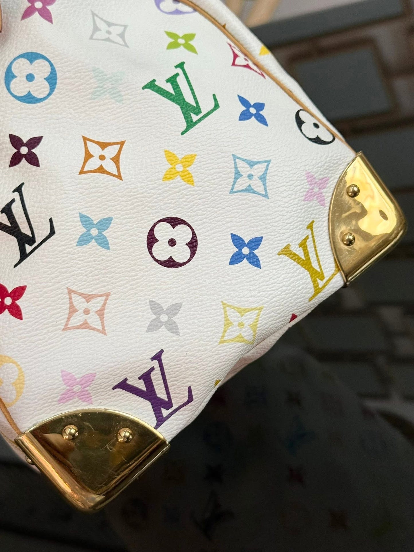 Multicolor Speedy 30 with Dustbag, Insert Organizer and generic twilly set 📅 Year: 2005