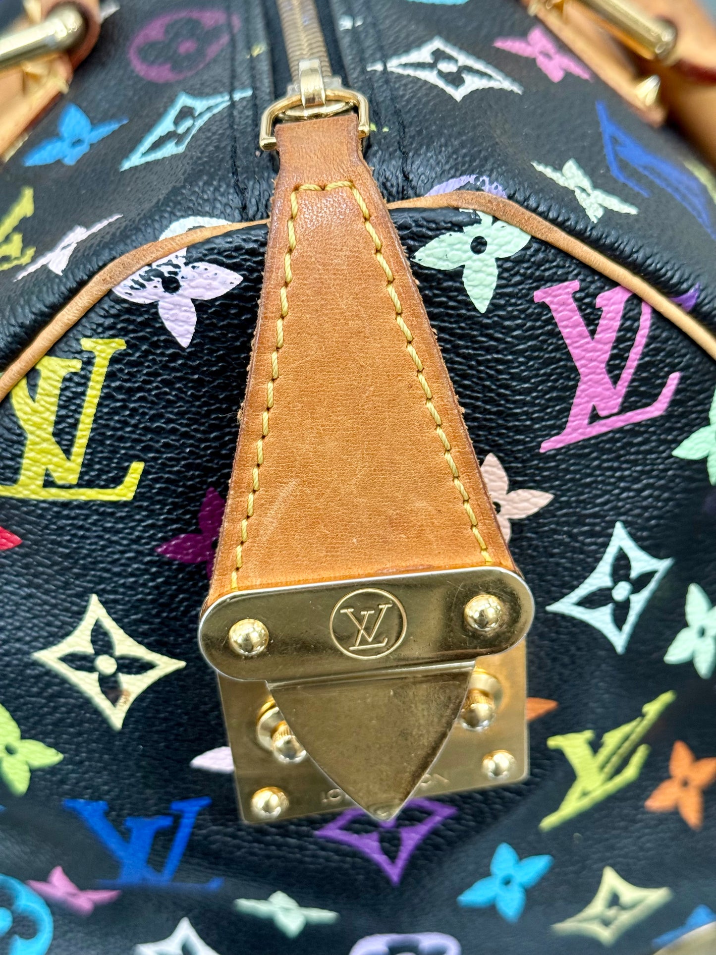 Multicolor Speedy 30 with Dustbag, Insert Organizer and twilly set 📅 Year: 2008