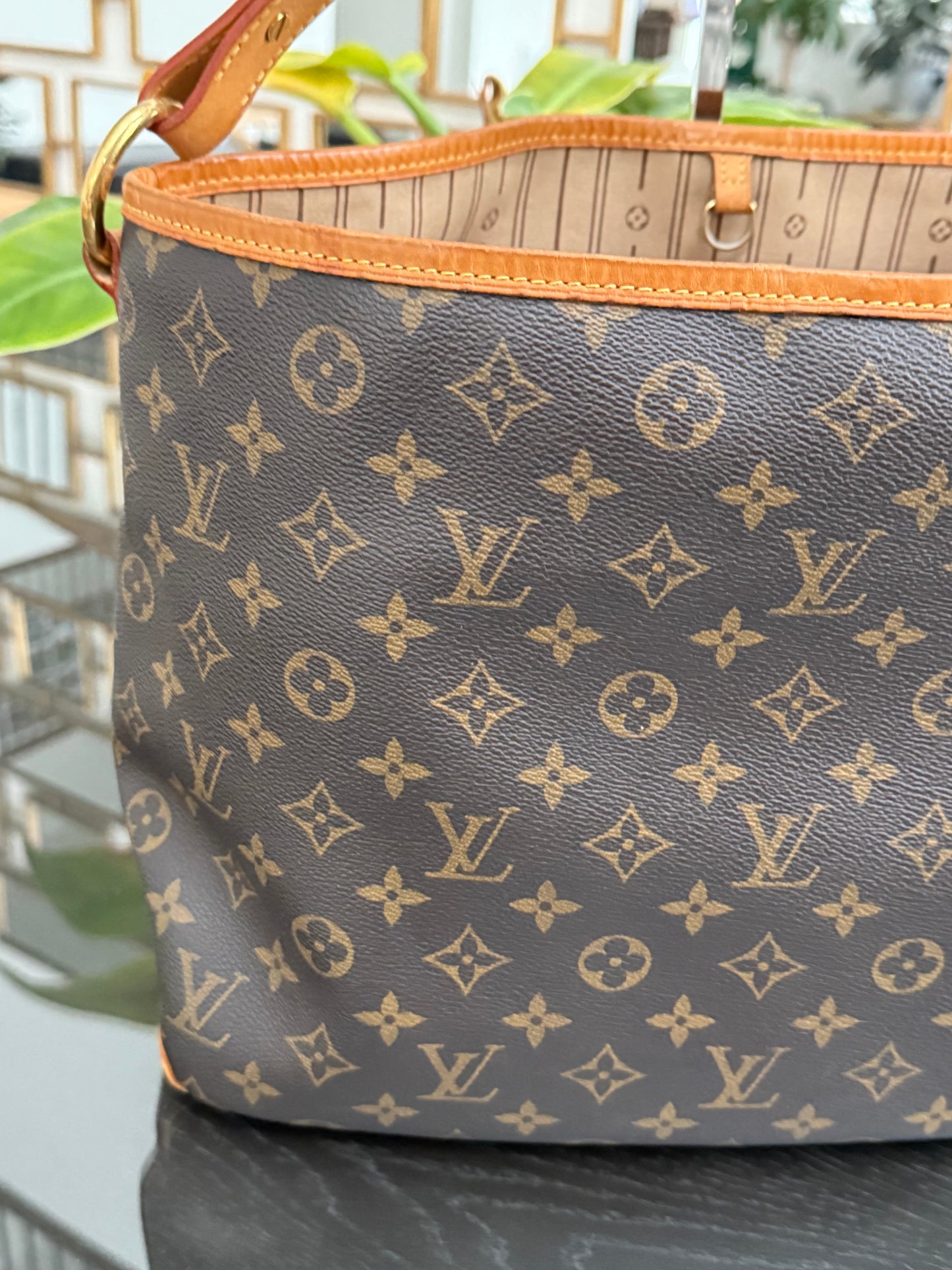 Delightful PM with Dustbag and Insert Organizer 🗓️ Year: 2012