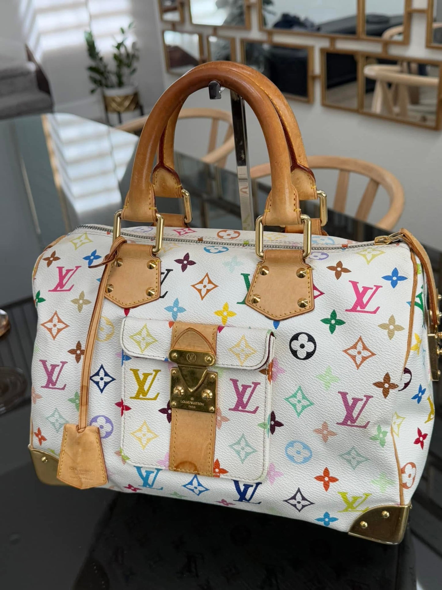 Multicolor Speedy 30 with Dustbag and Insert Organizer 📅 Year: 2006