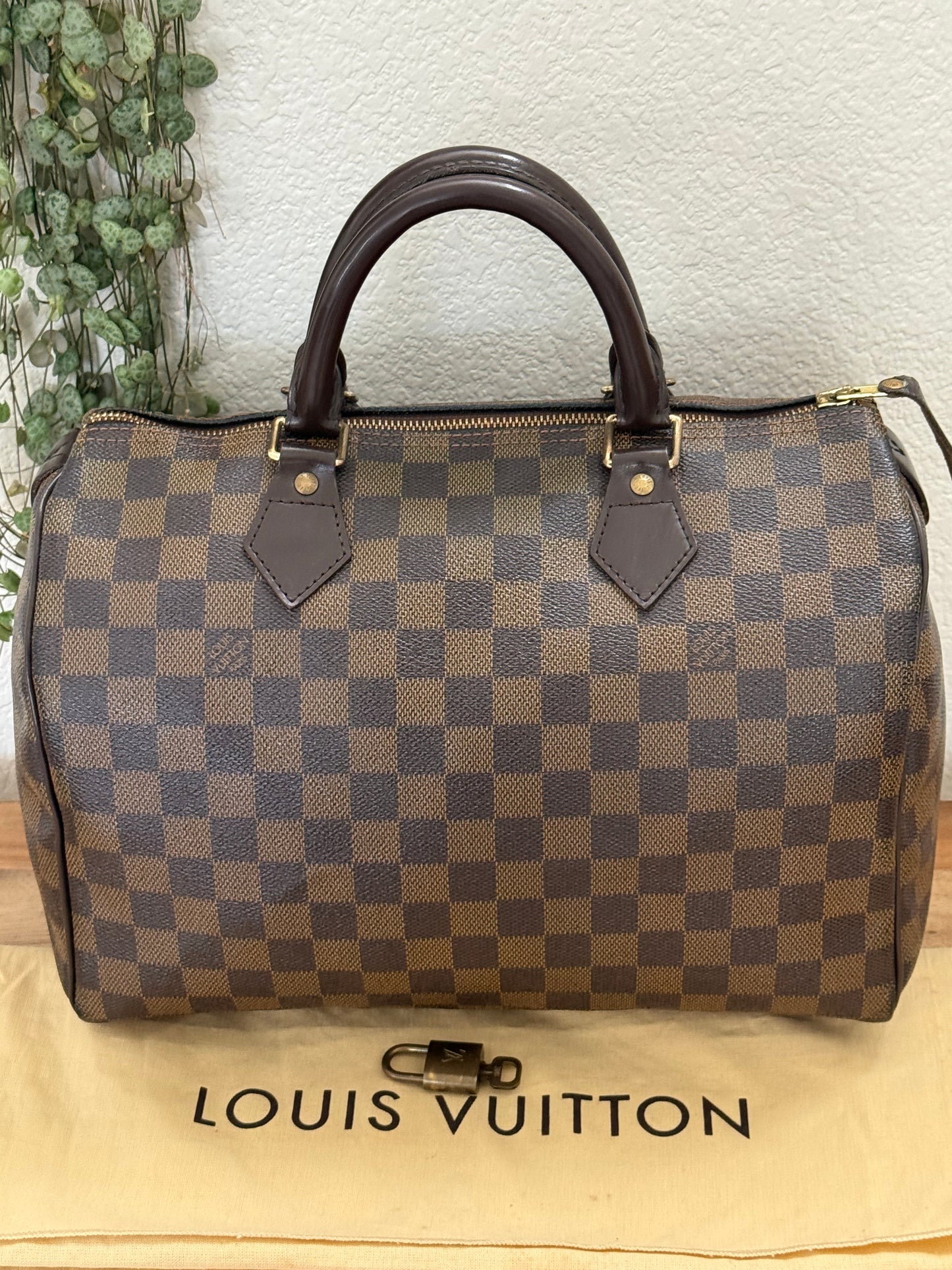 Speedy 30 in DE with 🔐 Lock & Key and Dustbag - 📅 Year: 2008
