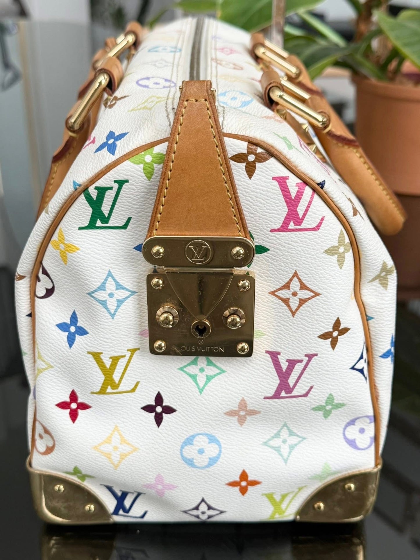 Multicolor Speedy 30 with Dustbag, twilly set and Insert Organizer 📅 Year: 2007