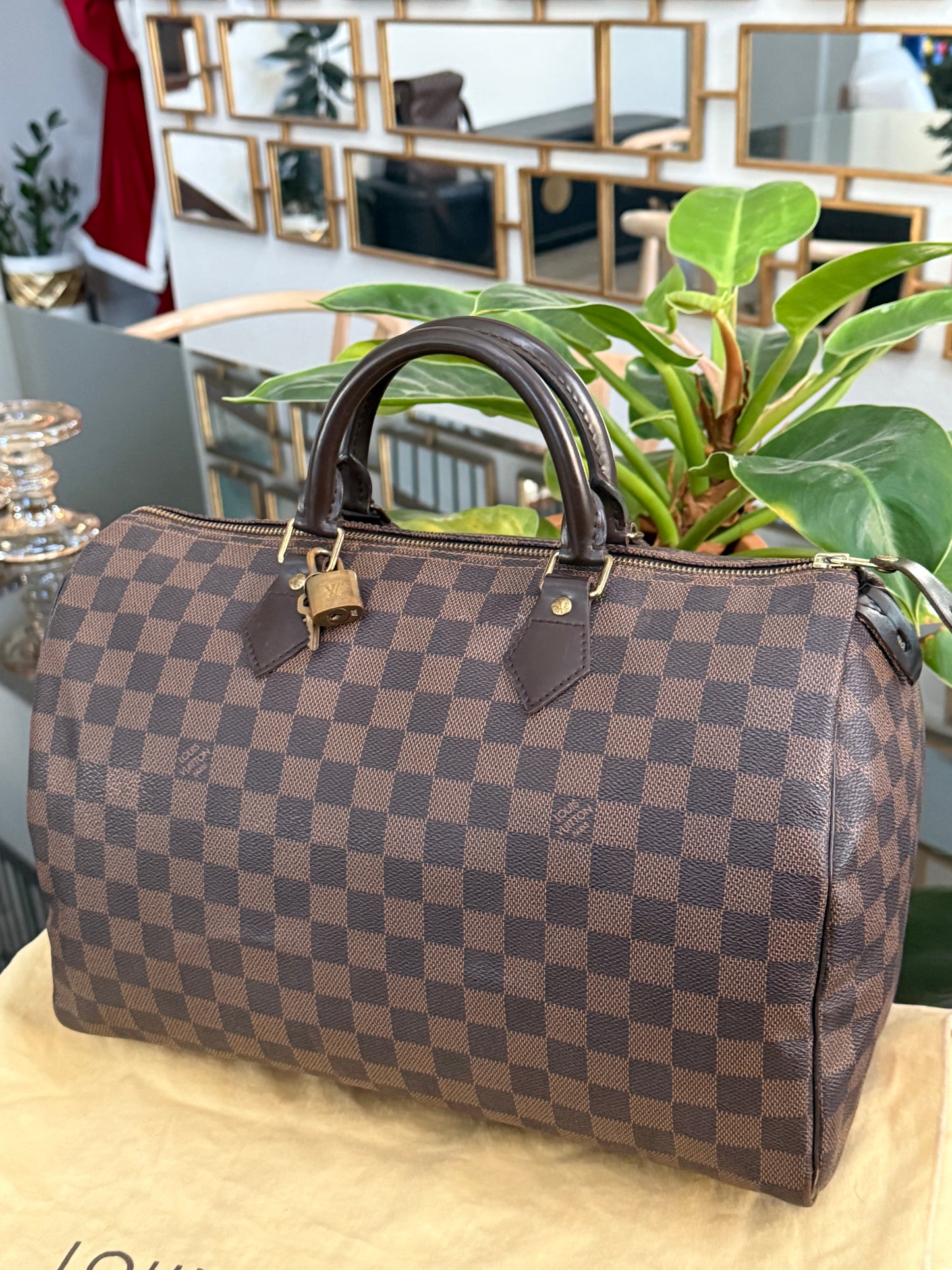 Speedy 35 with 🔐 Lock, Key, Dustbag and Insert Organizer-📅 Year: 2012