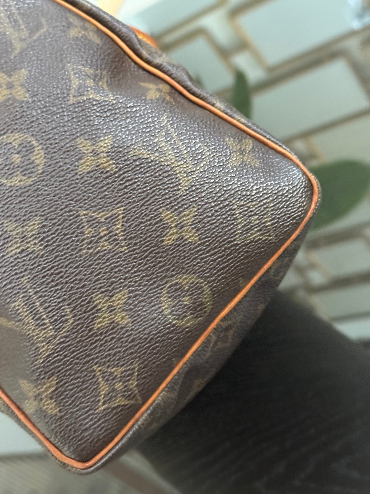 Speedy 25 in Monogram with Dustbag -🗓️ Year: 2000