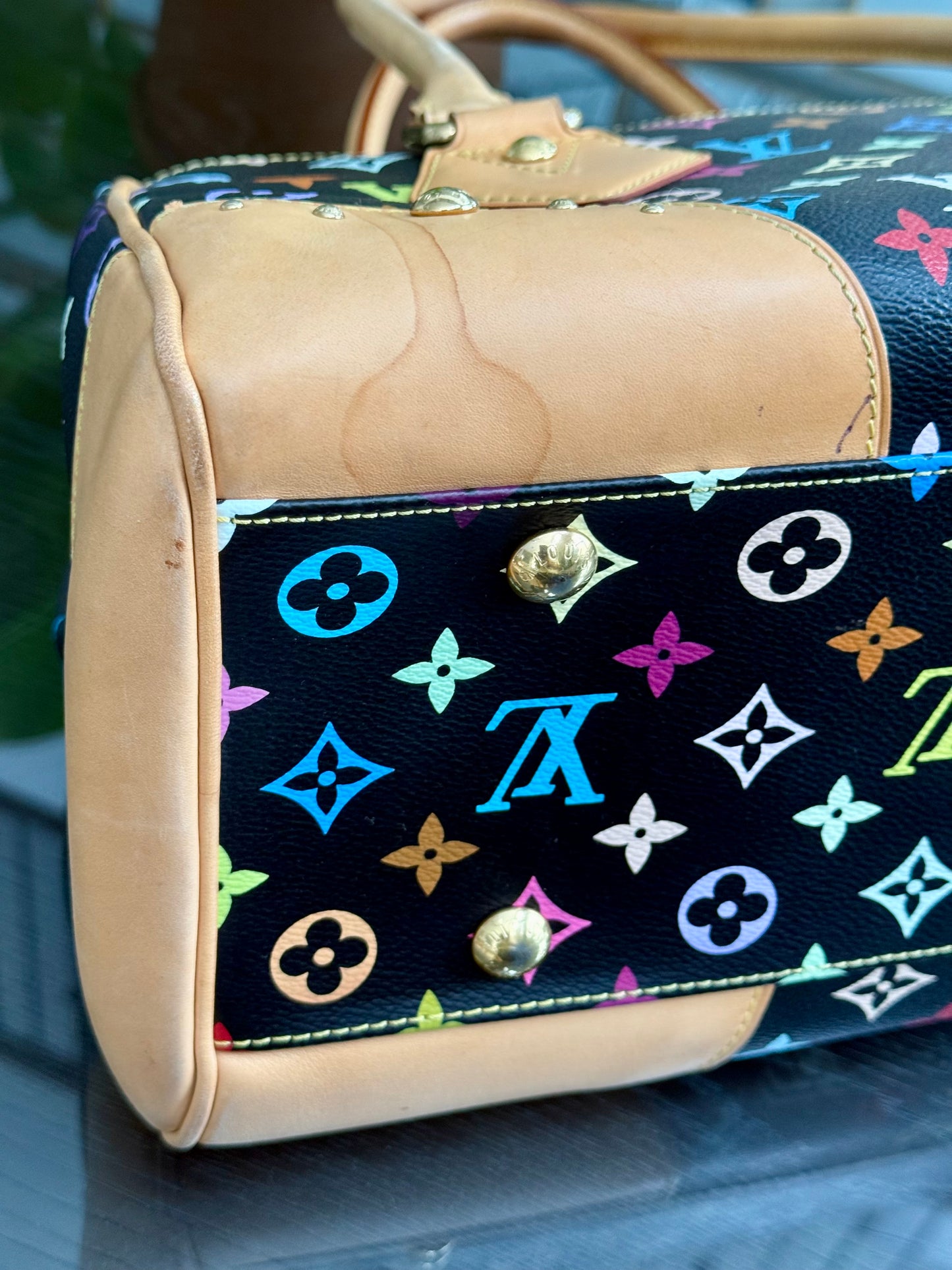 Multicolor Beverly GM with Dustbag 📅 Year: 2008