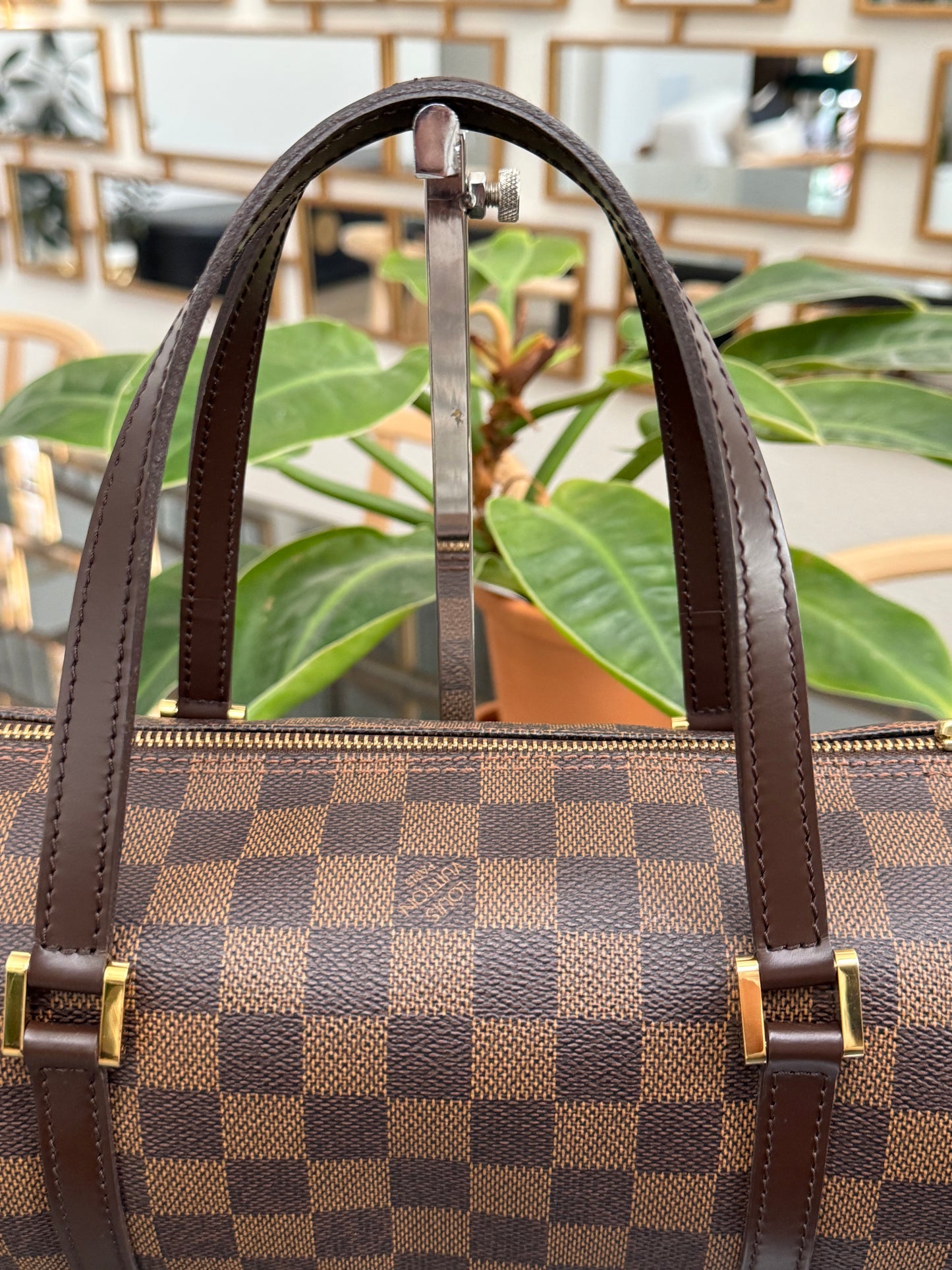 Papillon 26 DE 🗓️ Year: 2005