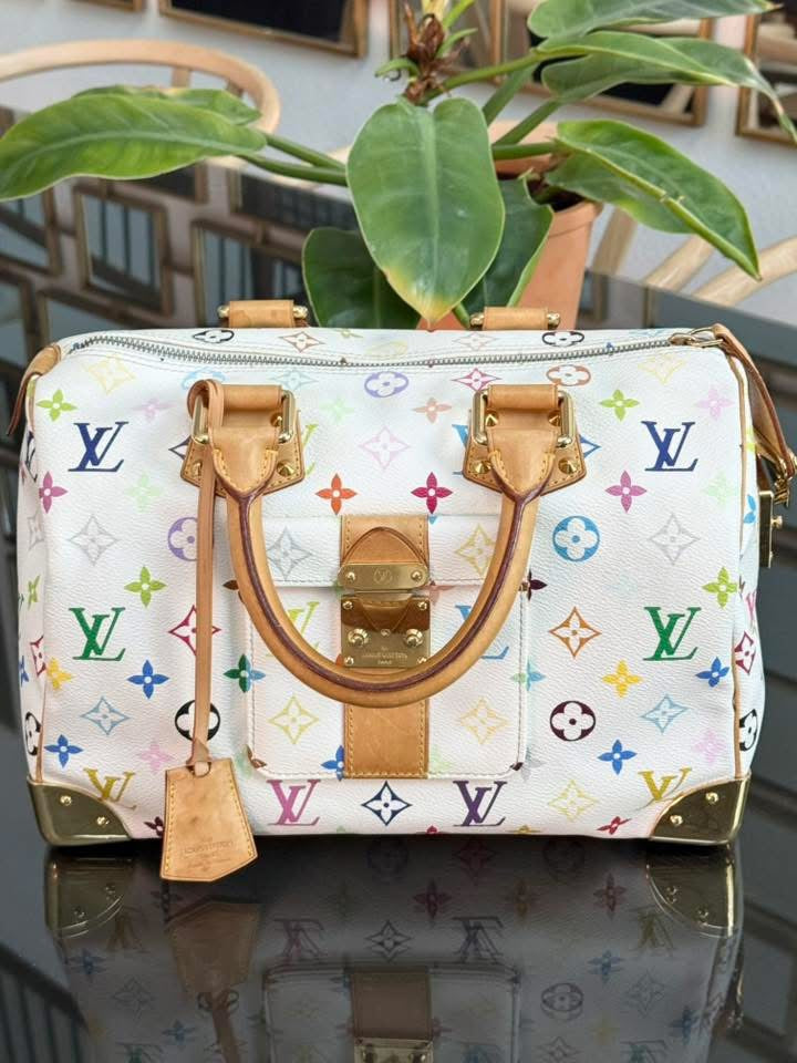 Multicolor Speedy 30 with Dustbag, Insert Organizer and generic twilly set 📅 Year: 2005